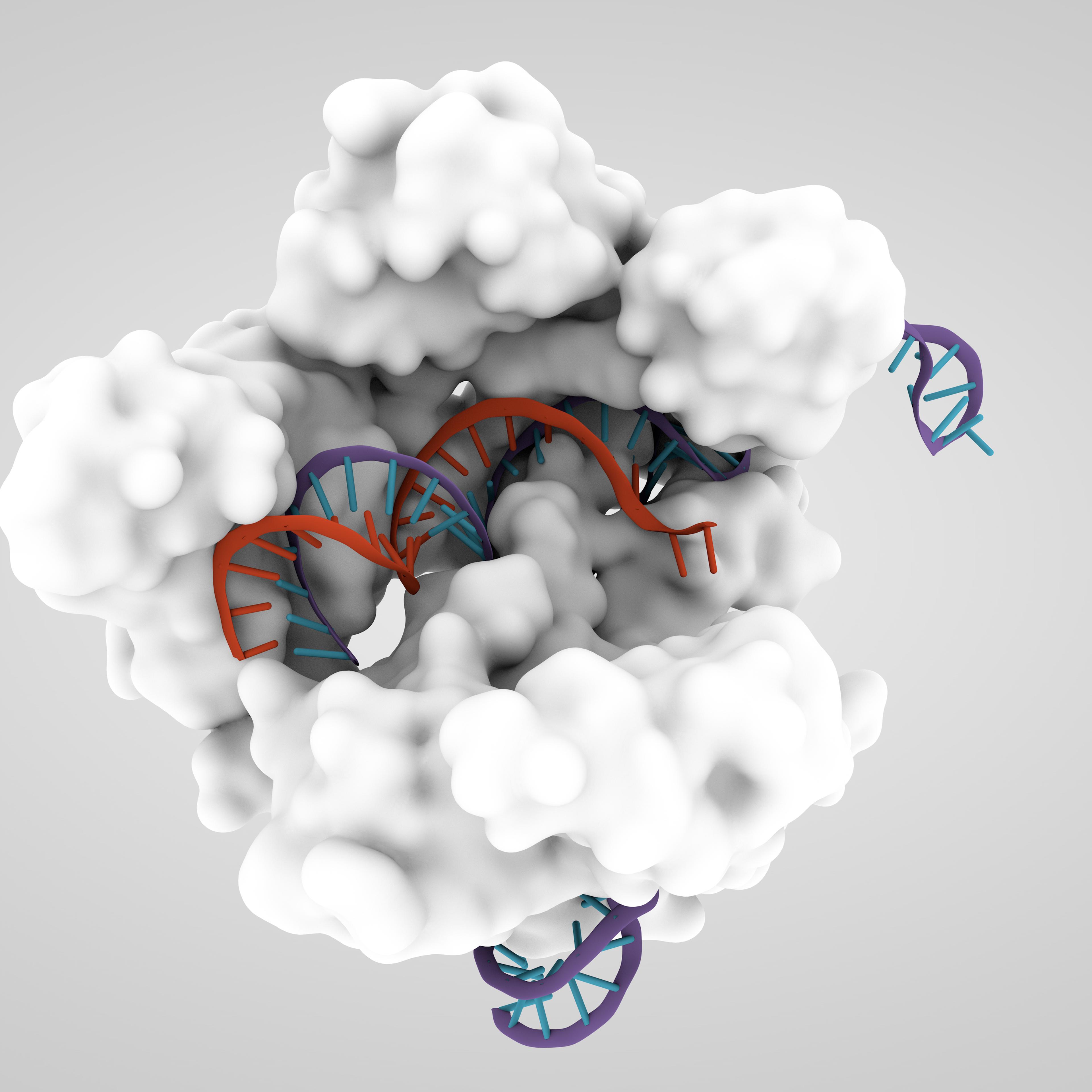 CRISPR