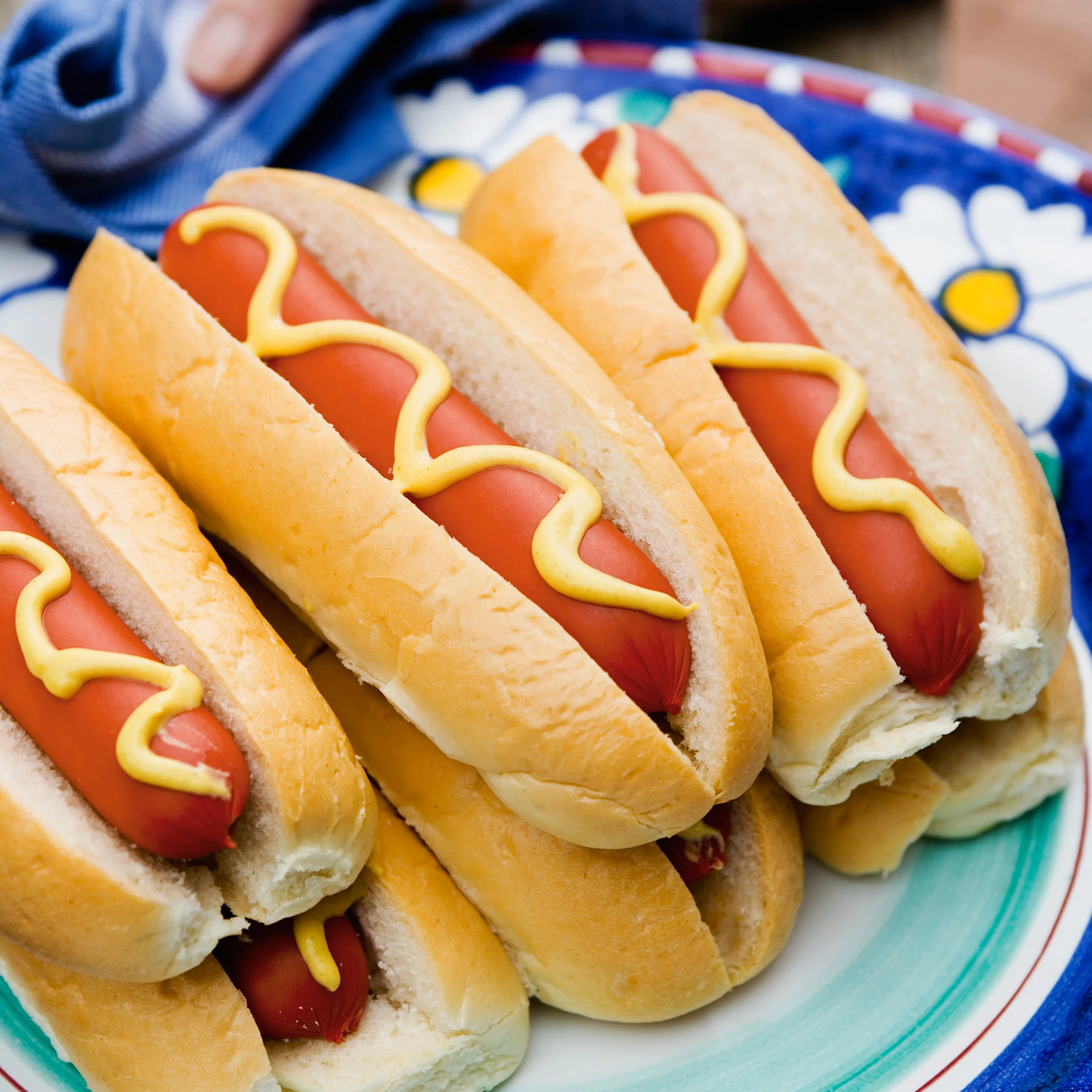 hot dogs on plate