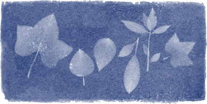 Images of leaves reminiscent to Anna Atkins' photography book are seen in a new Google Doodle. March 16, 2015