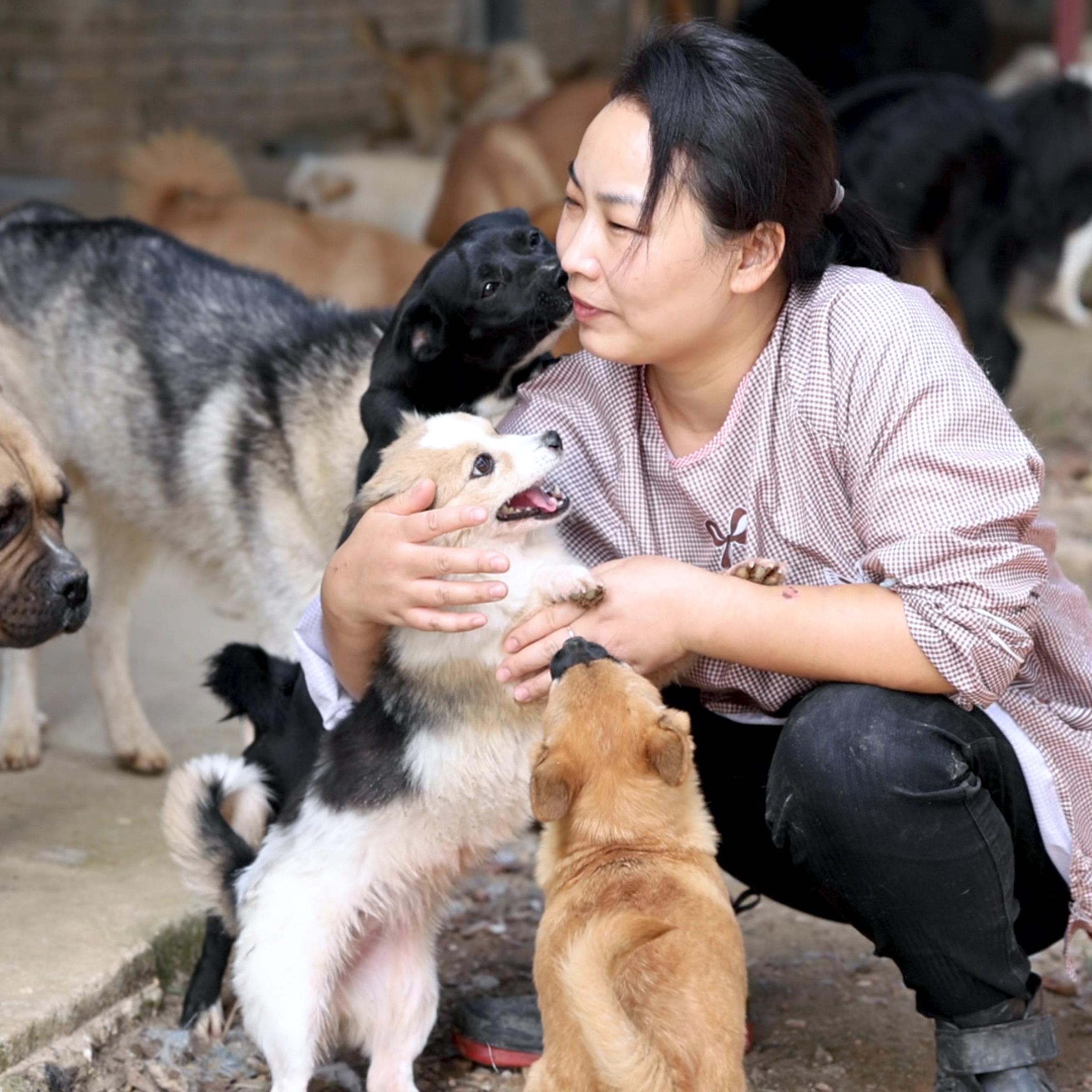 Li Heng, a volunteer for the Furry Angels Haven animal shelter in Wuhan, China is shown surrounded by rescue dogs at the organization's new premises in this still taken from a video shot by TIME's Zhang Chi on Oct. 13, 2020.