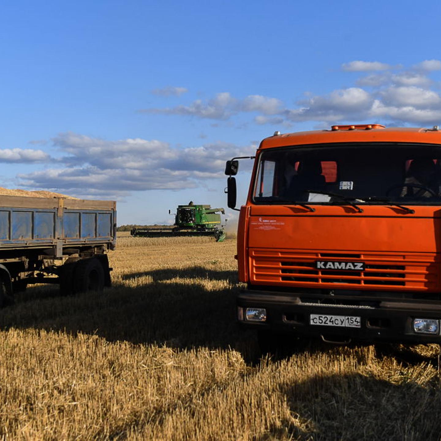 Harvesting crops in Novosibirsk Region, Russia