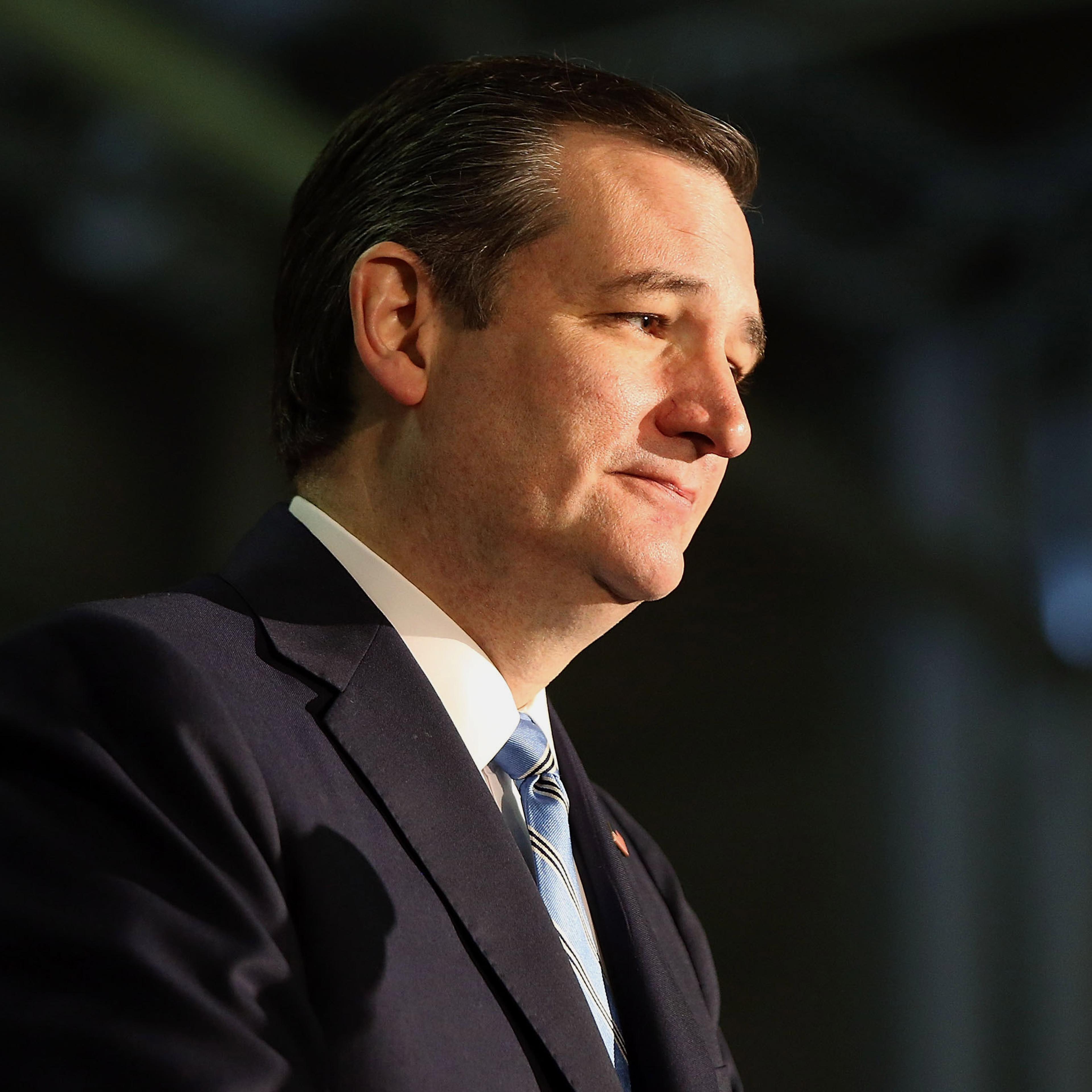Ted Cruz gives a speech on Feb. 16, 2016 in Mt. Pleasant, S.C.
