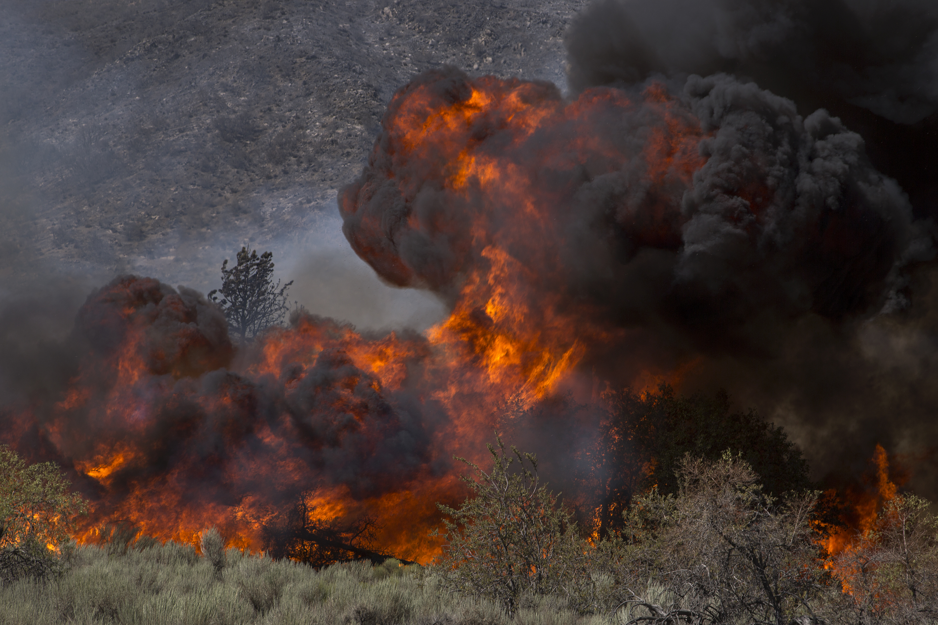 california wildfire wild fire
