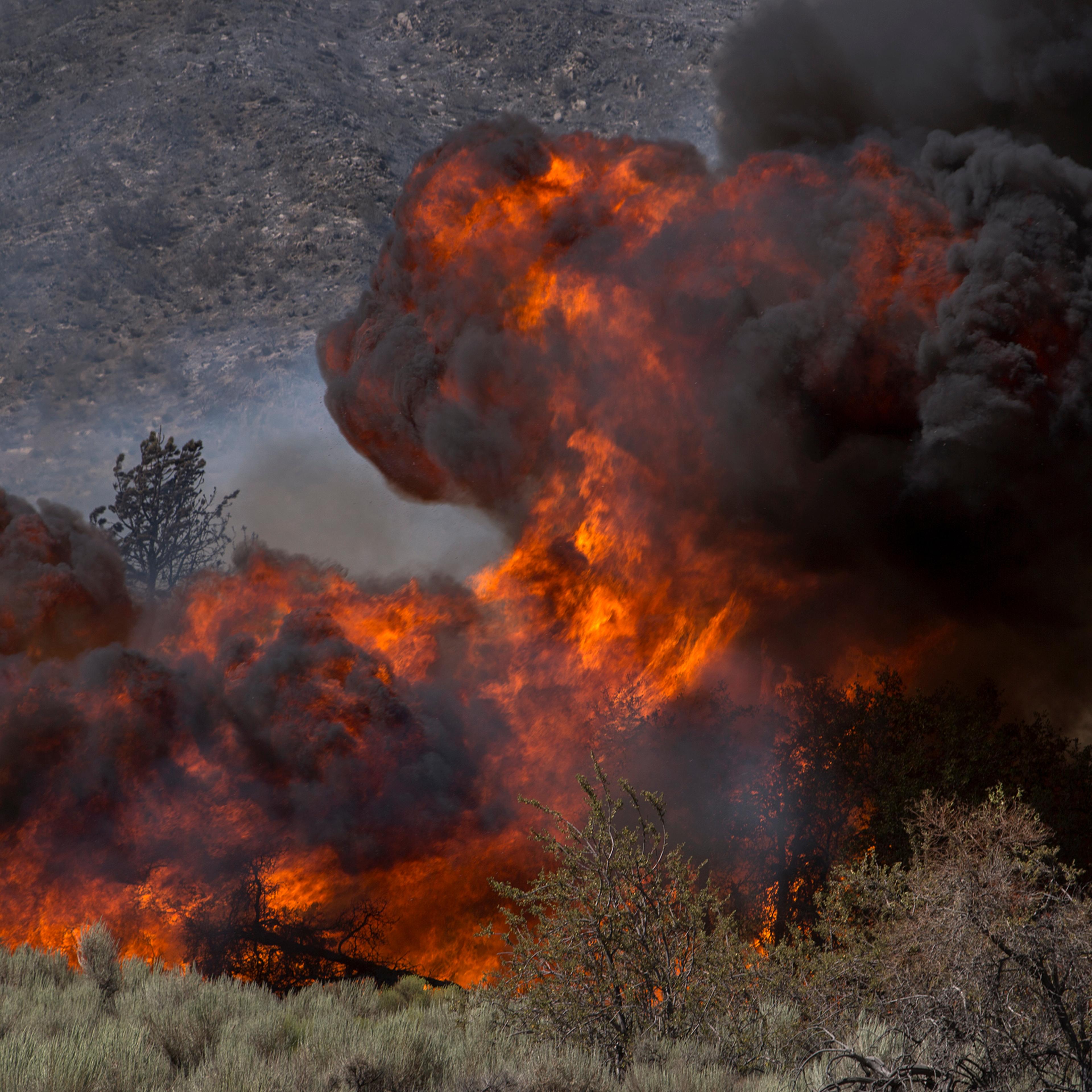 california wildfire wild fire