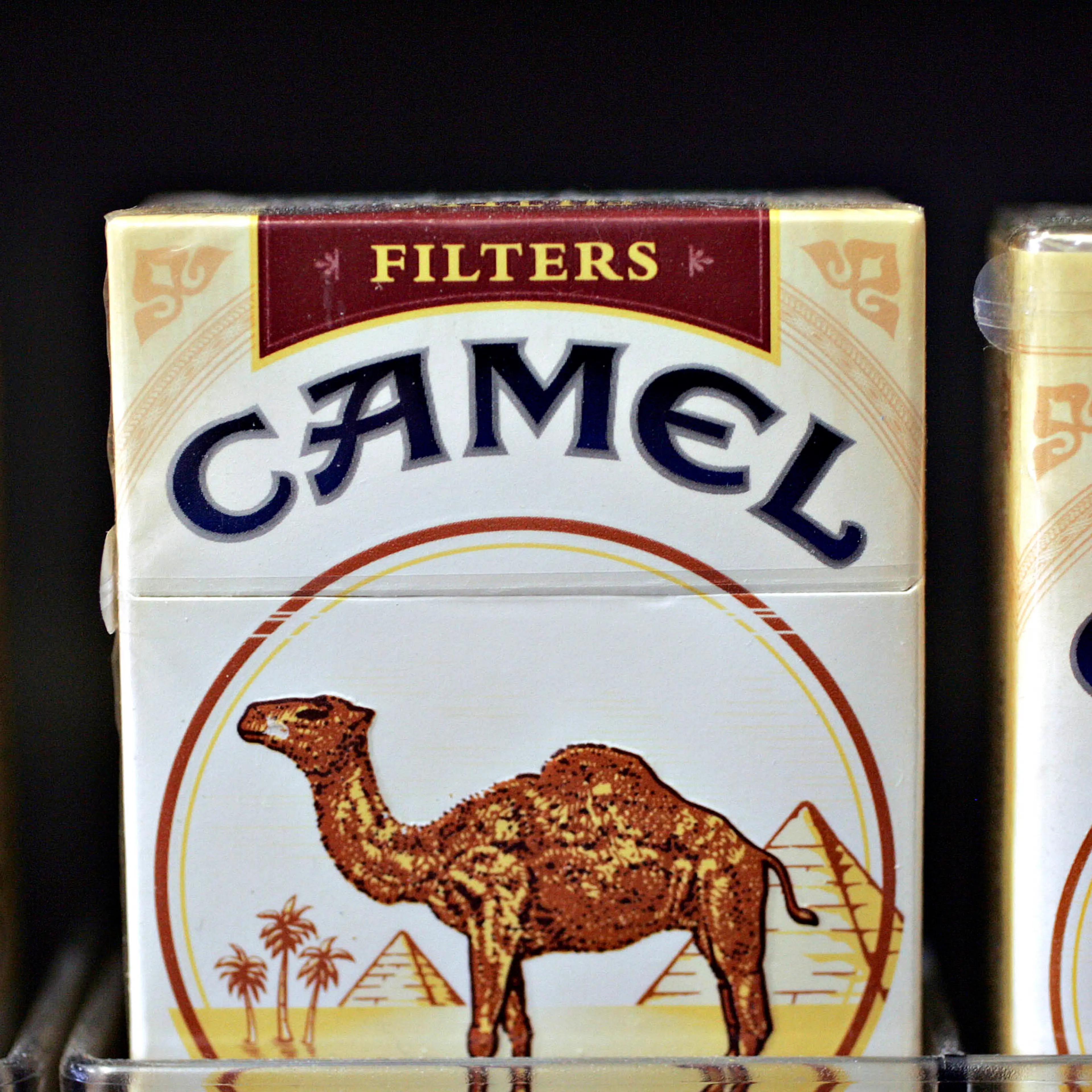 Camel Cigarettes