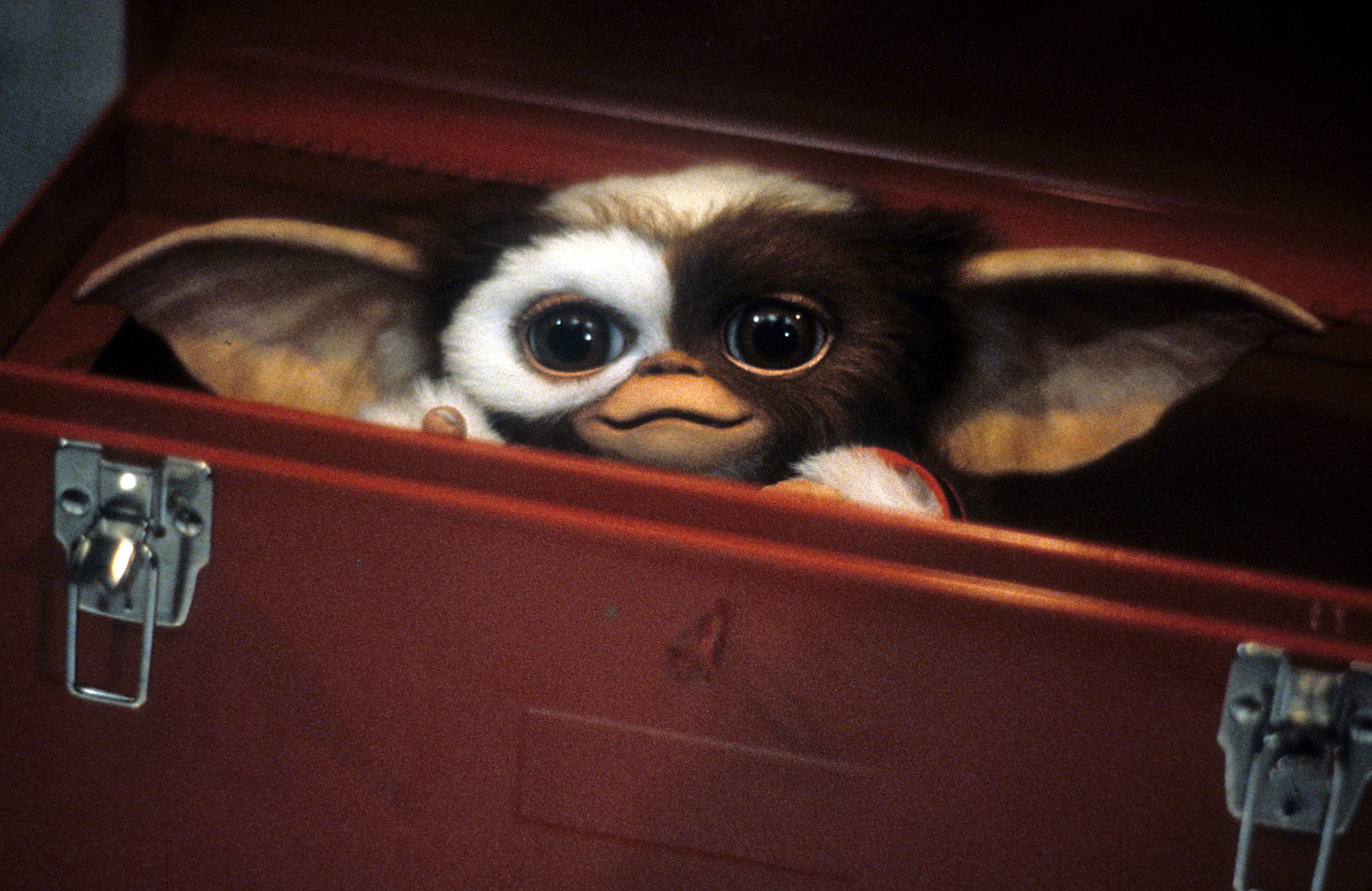 A scene from the film 'Gremlins', 1984.
