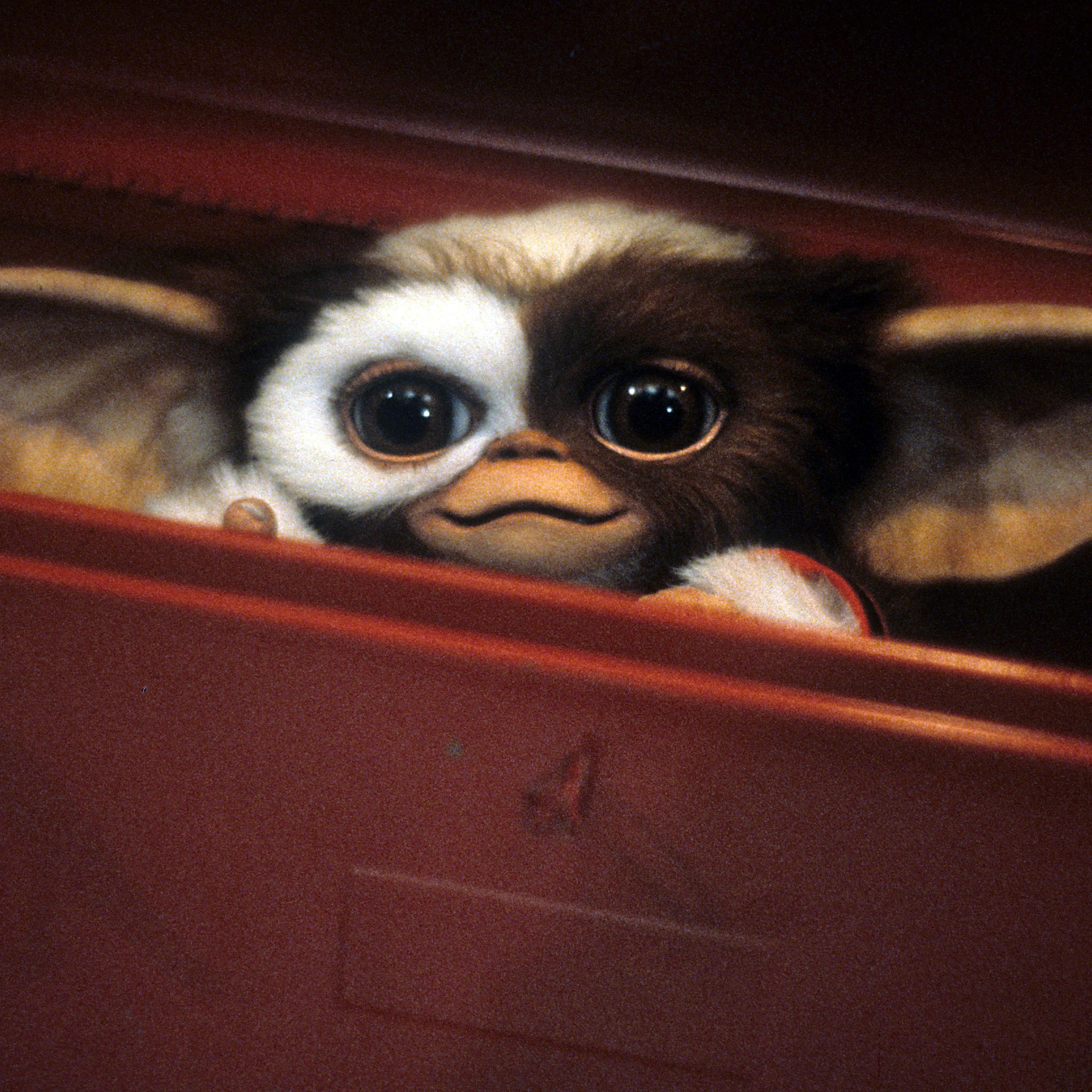 A scene from the film 'Gremlins', 1984.