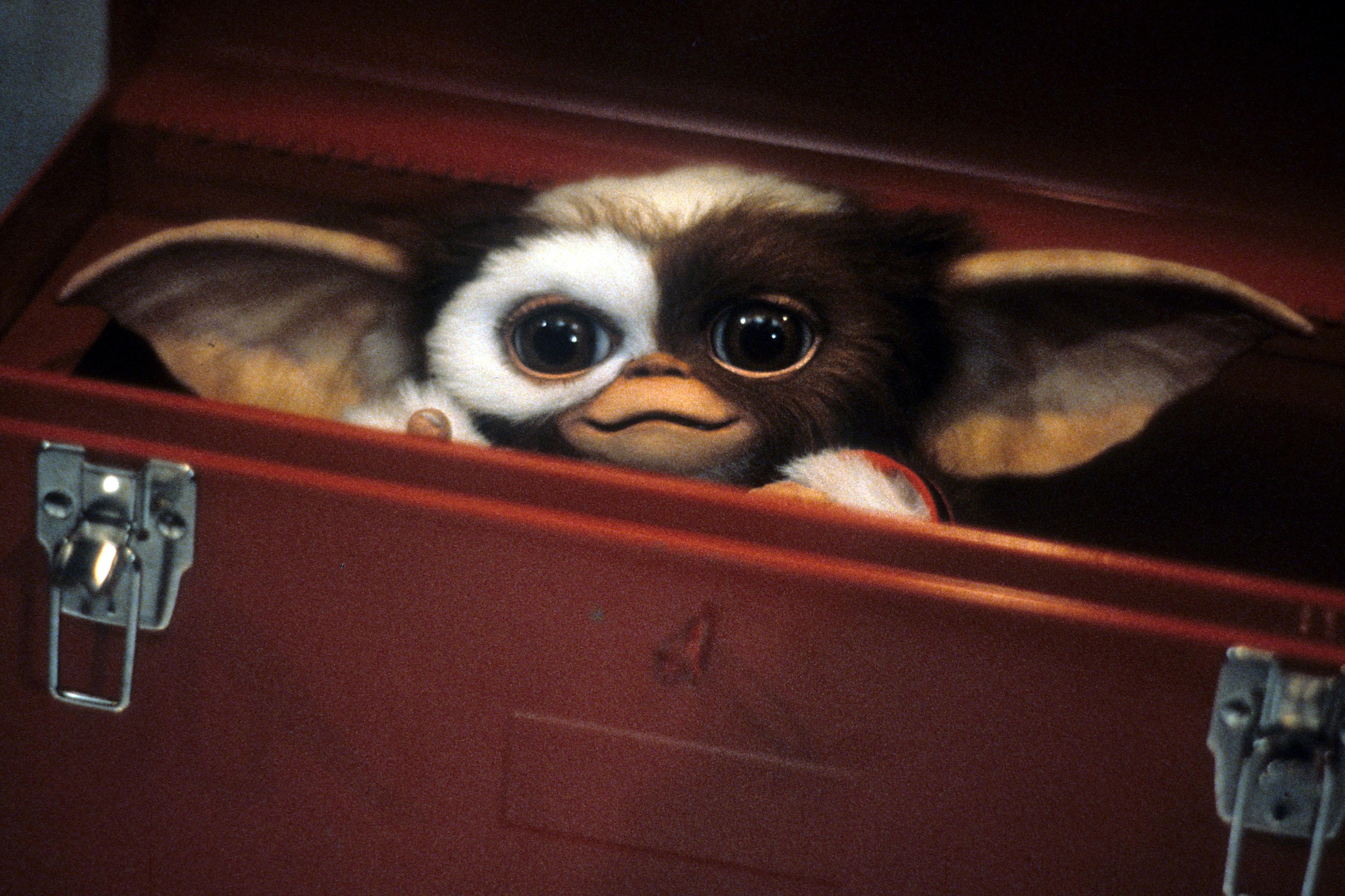A scene from the film 'Gremlins', 1984.
