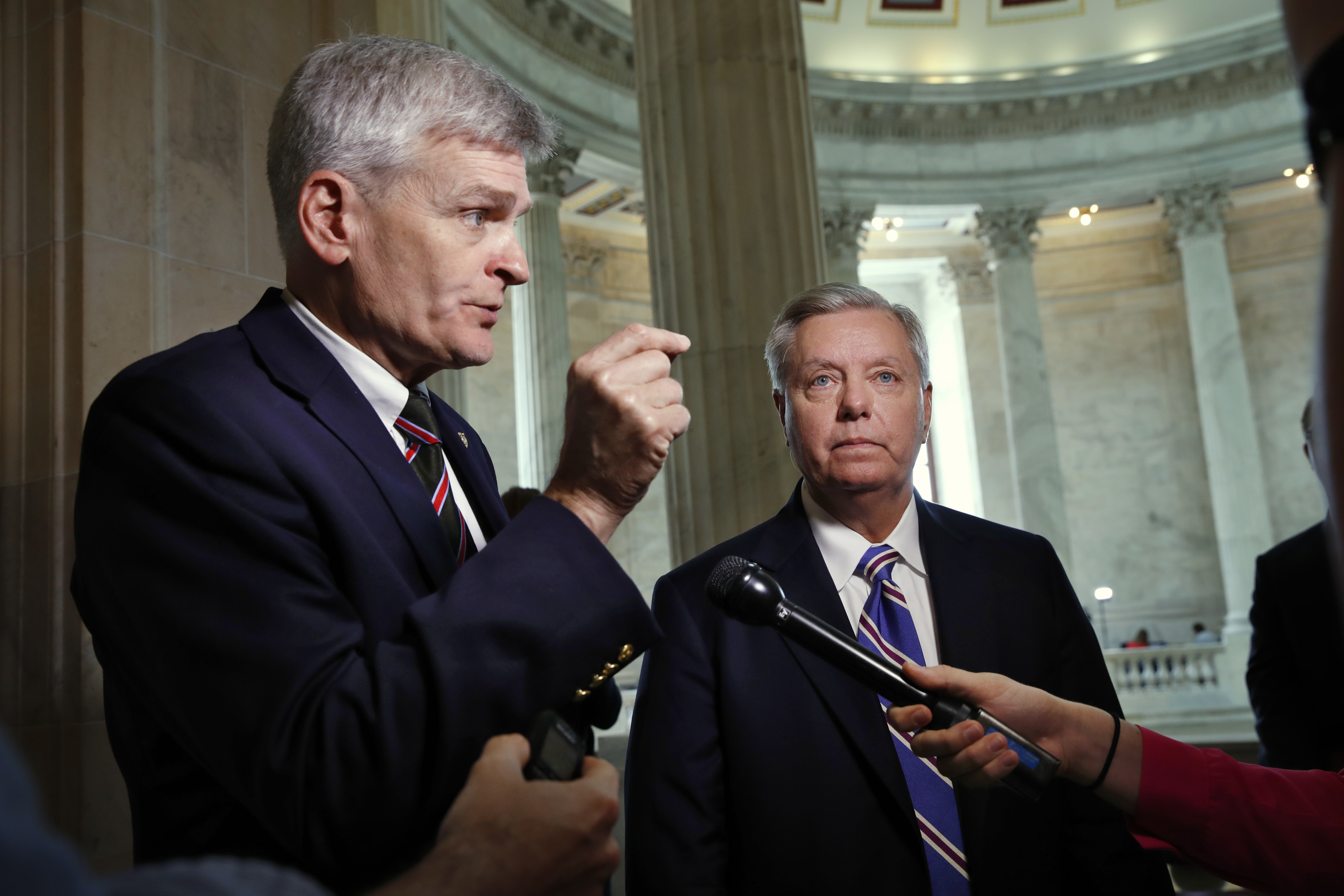 Bill Cassidy, Lindsey Graham