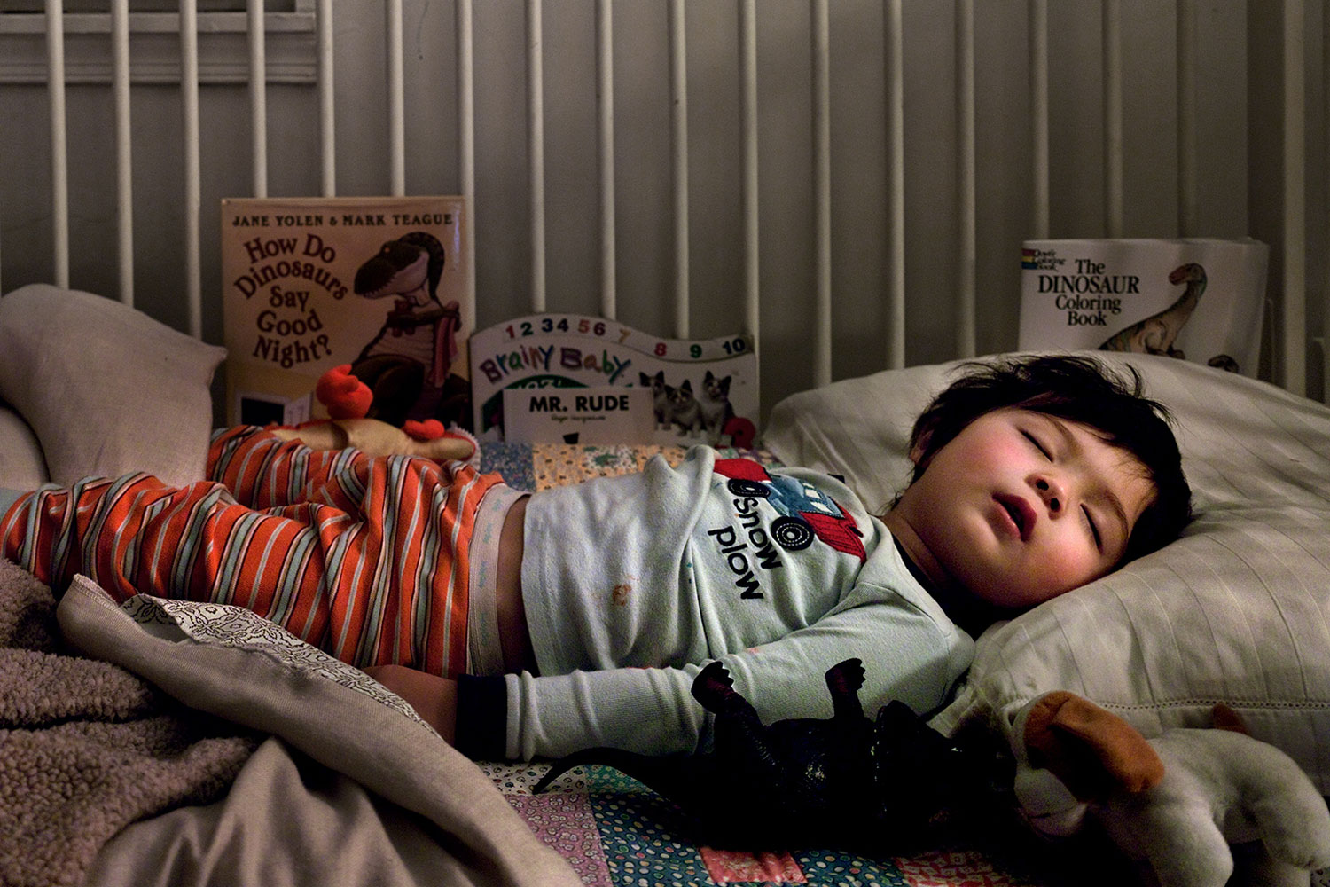 <i>Emmett.</i> January, 2009