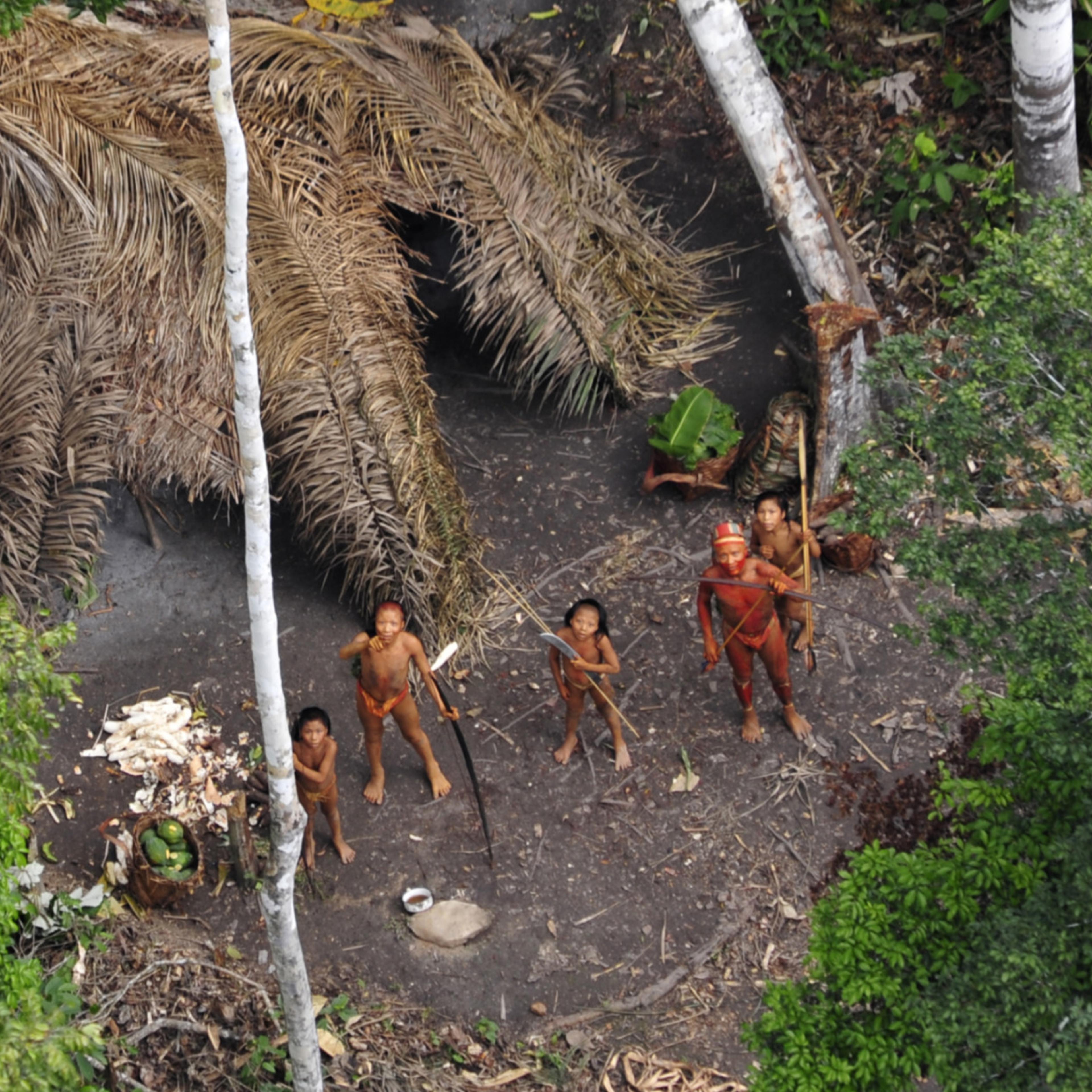 Indianergruppe in Brasilien entdeckt