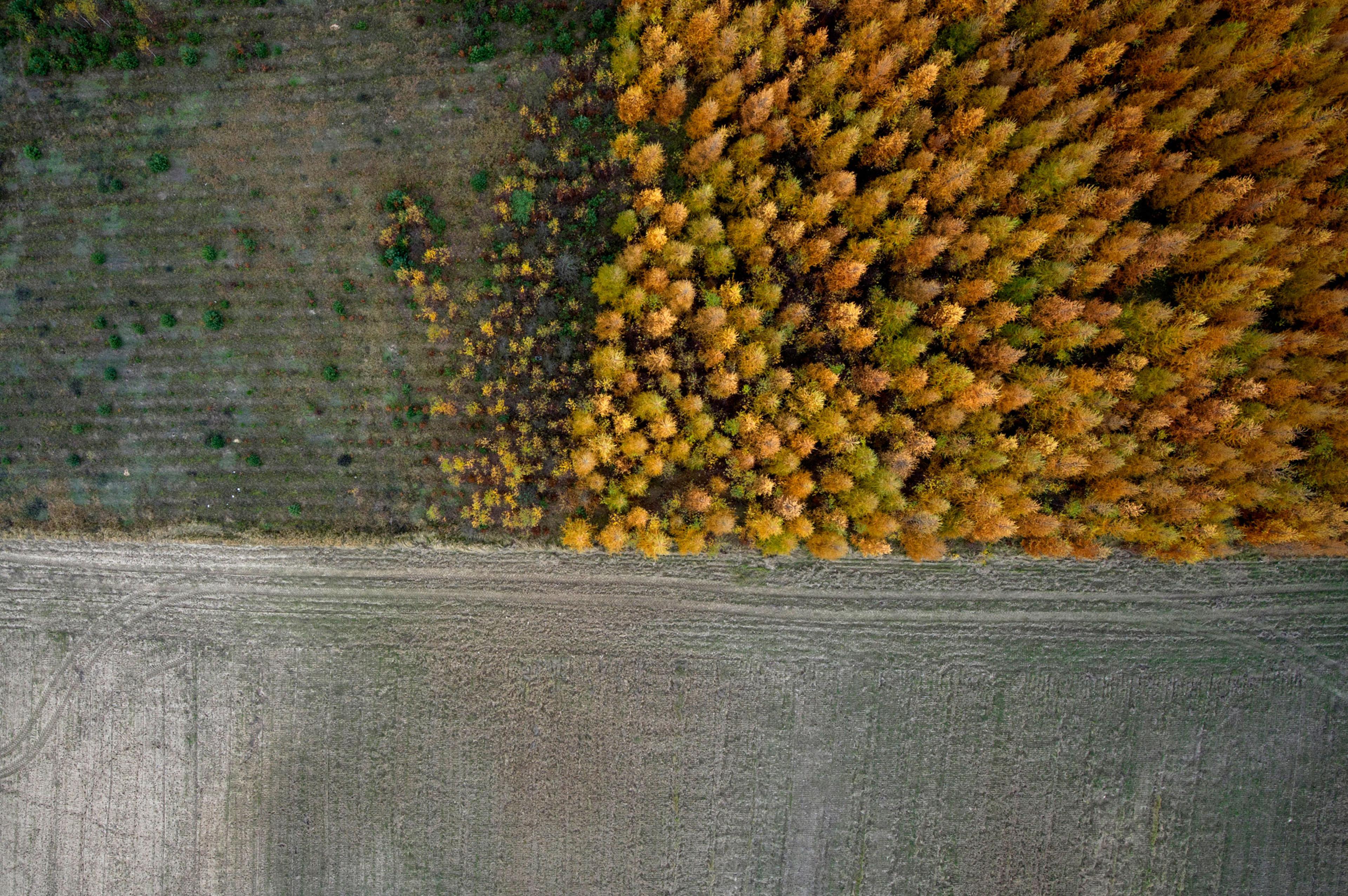 Fall In Poland See Amazing Aerial Views of Fall Foliage in Poland