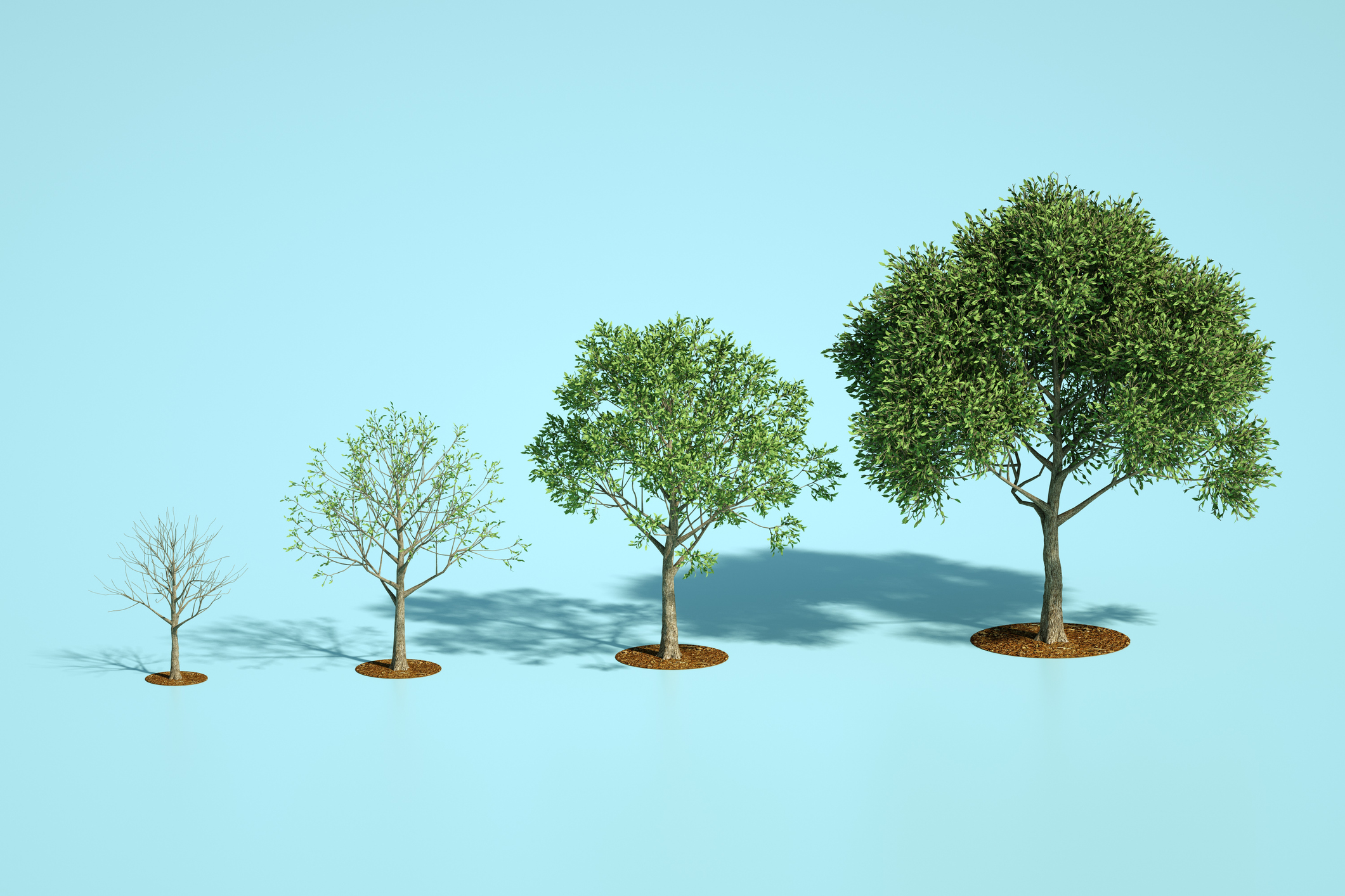 The building blocks for a high-integrity voluntary carbon market are in place.