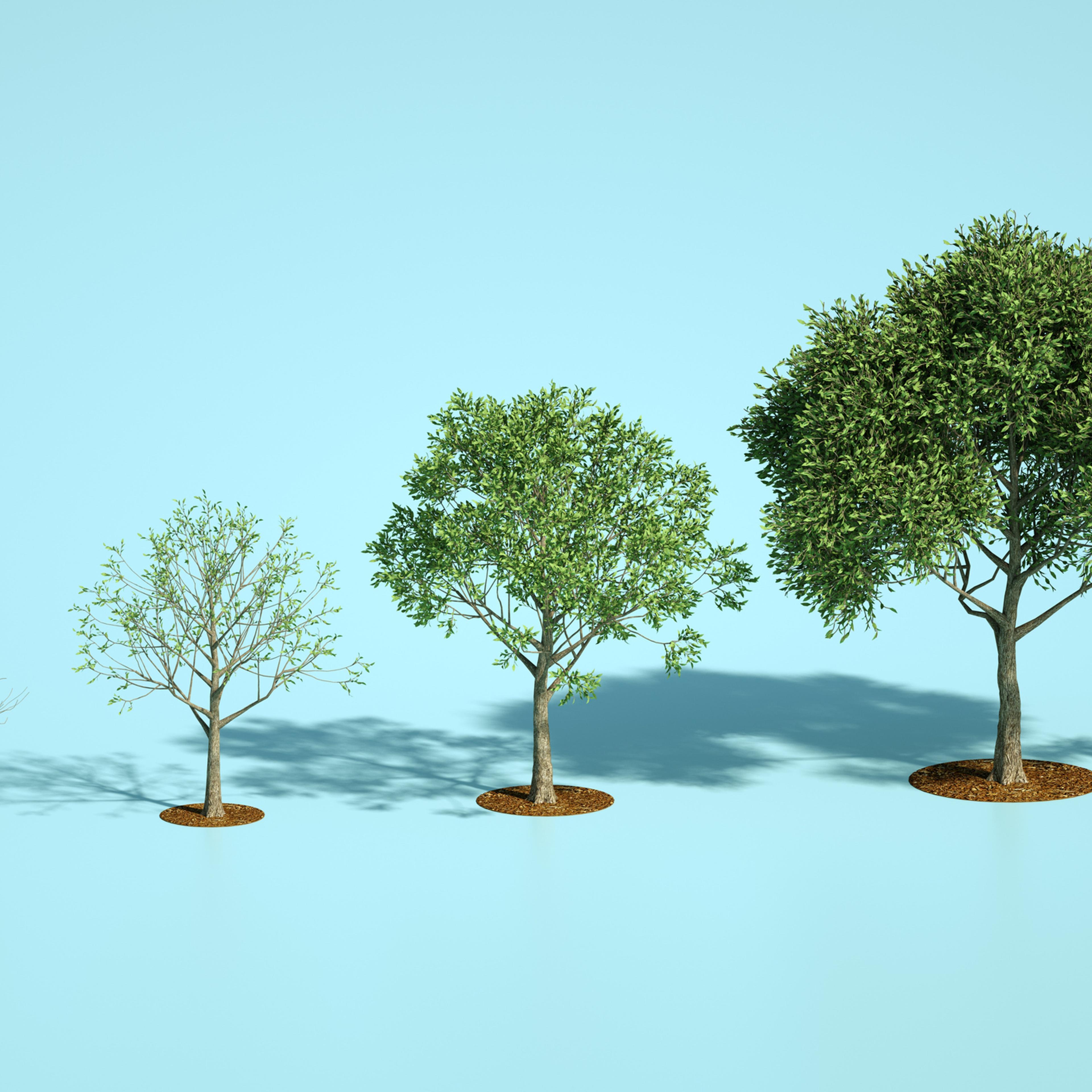 The building blocks for a high-integrity voluntary carbon market are in place.