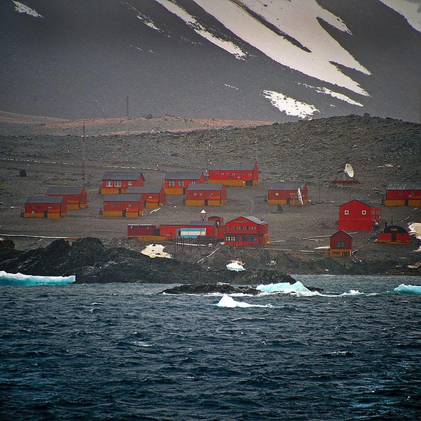 Record Temperatures Hit in Antarctica as Region Experiences 'Dramatic Changes'