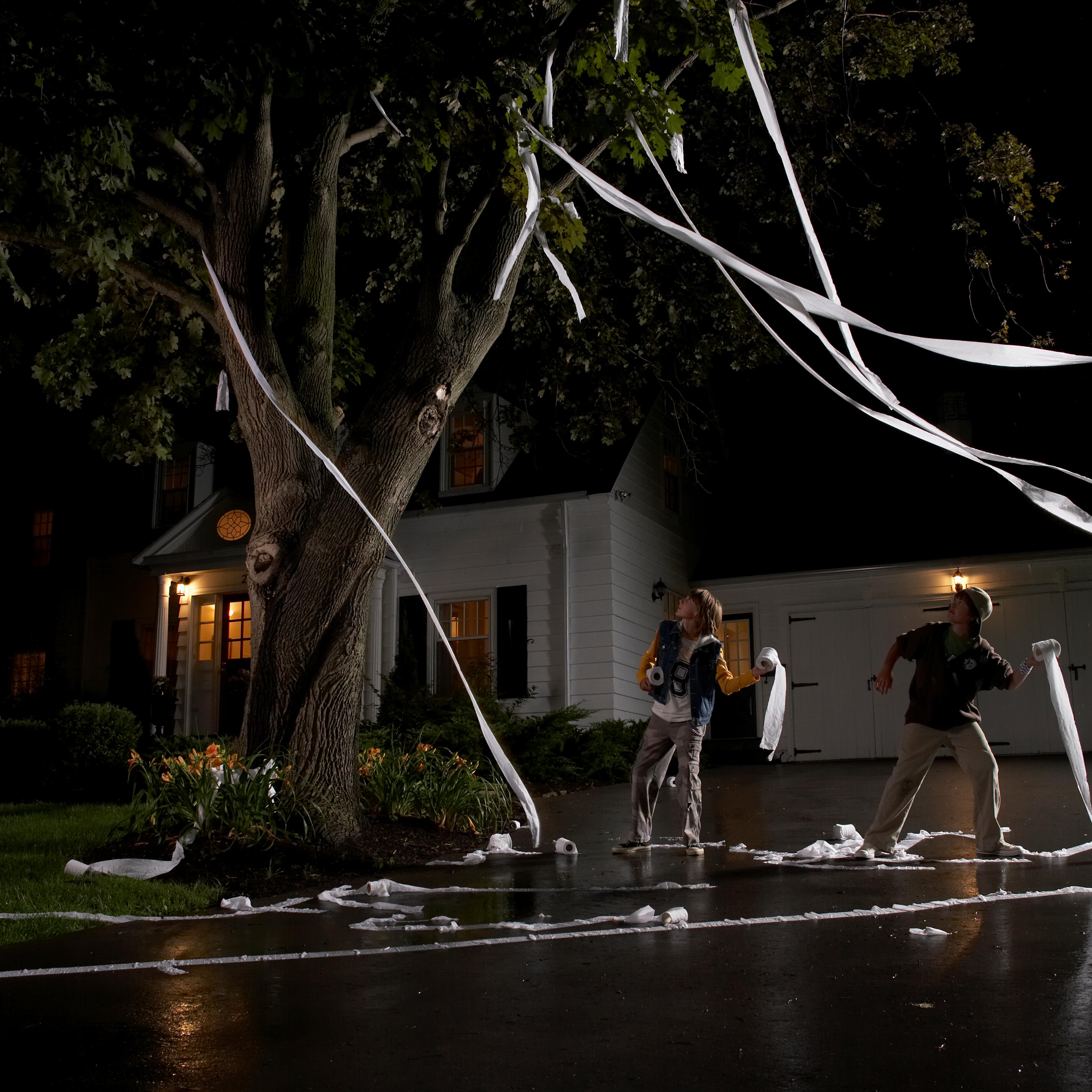 Two boys (12-13) throwing toilet paper into tree in front of house, night