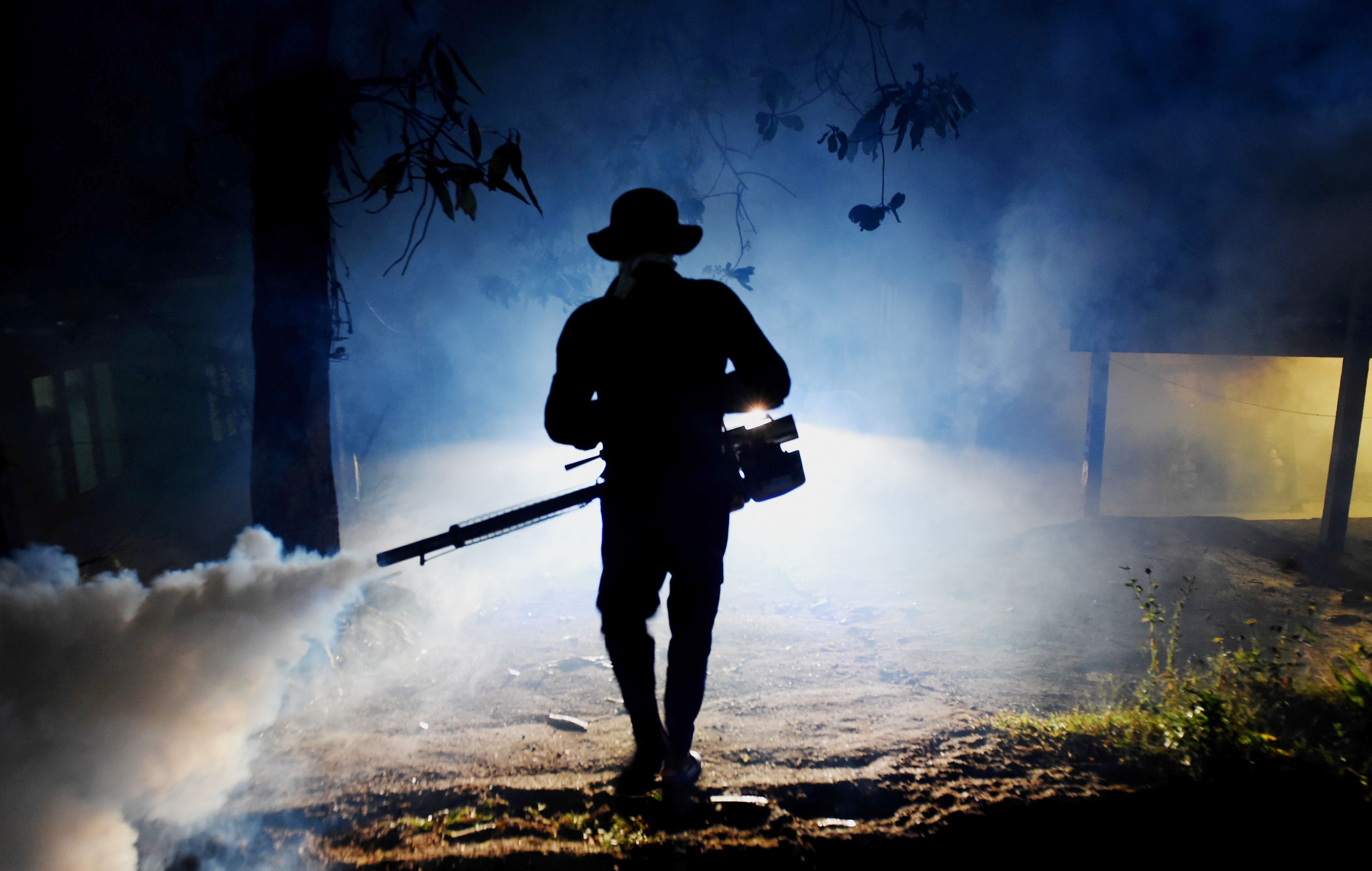 SRI LANKA-HEALTH-MOSQUITO