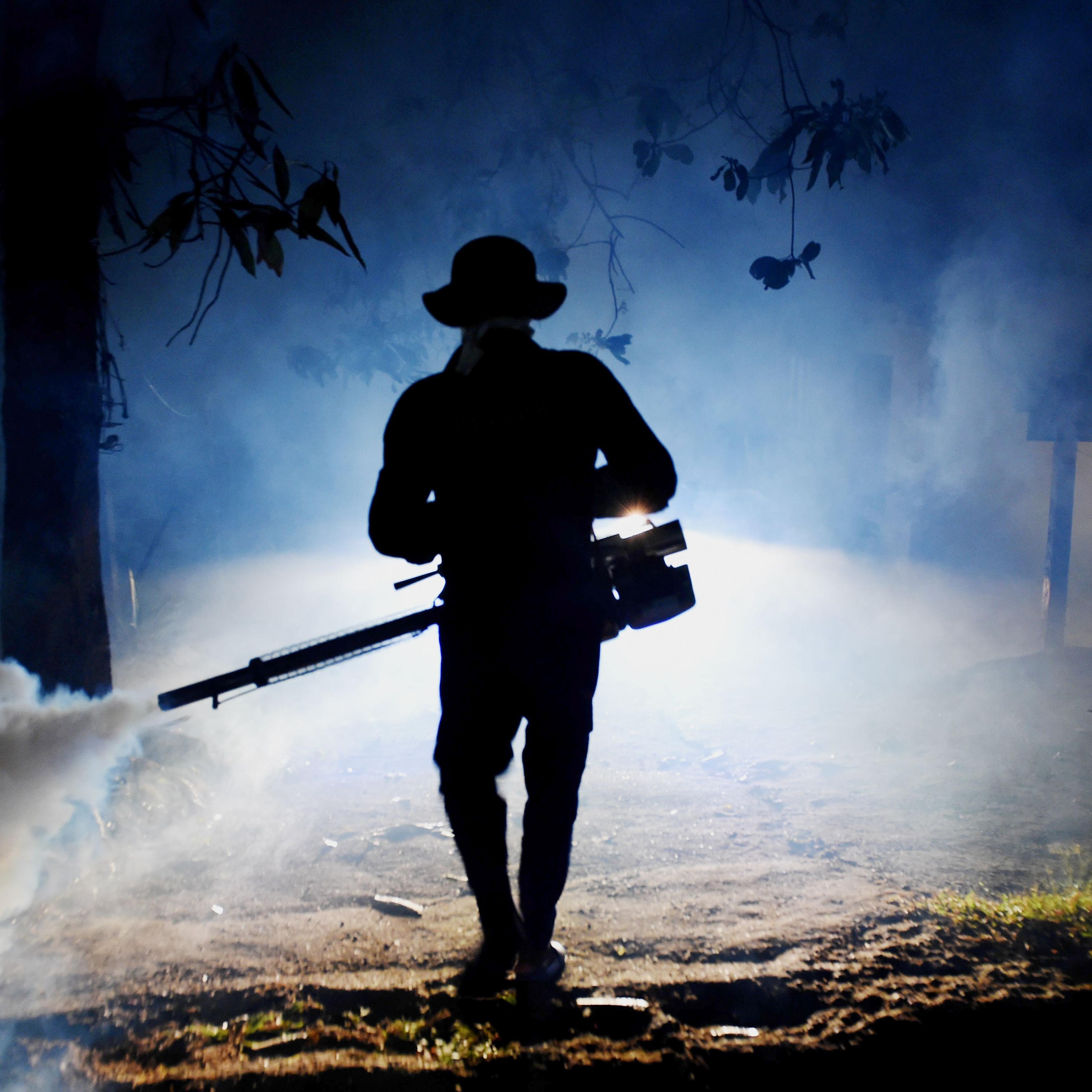 SRI LANKA-HEALTH-MOSQUITO