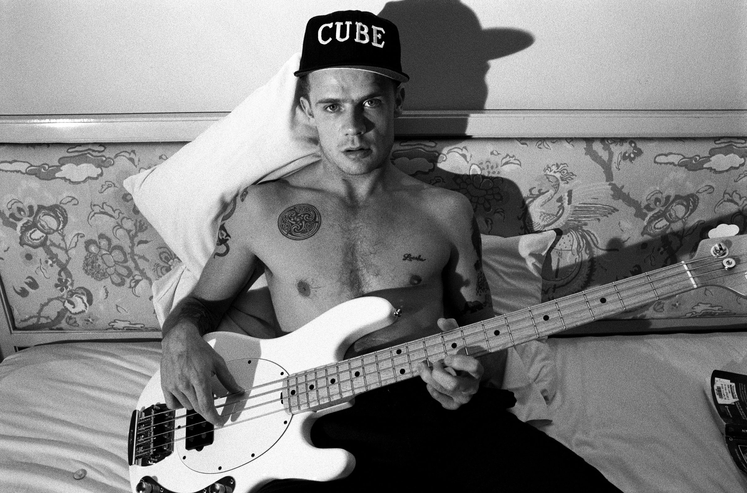 flea-opioids-essay-2