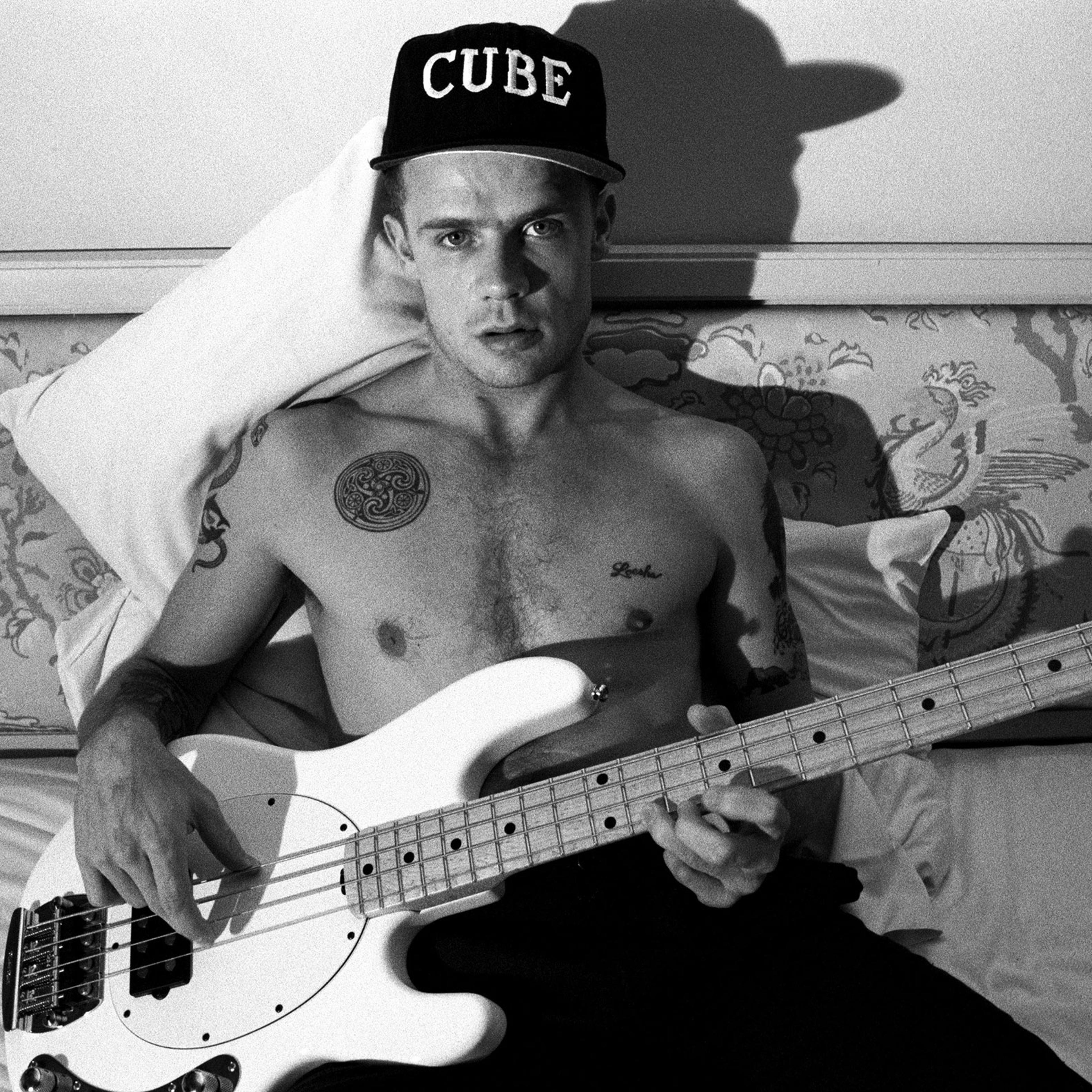 flea-opioids-essay-2