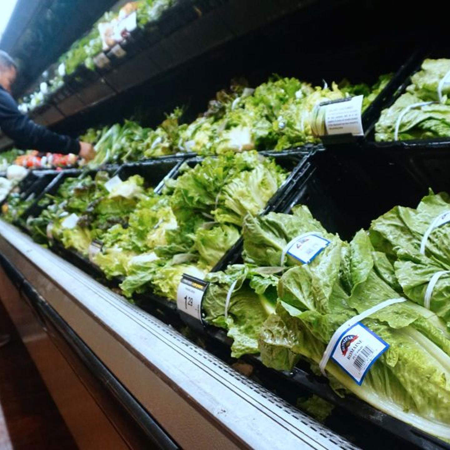 US-E COLI-LETTUCE