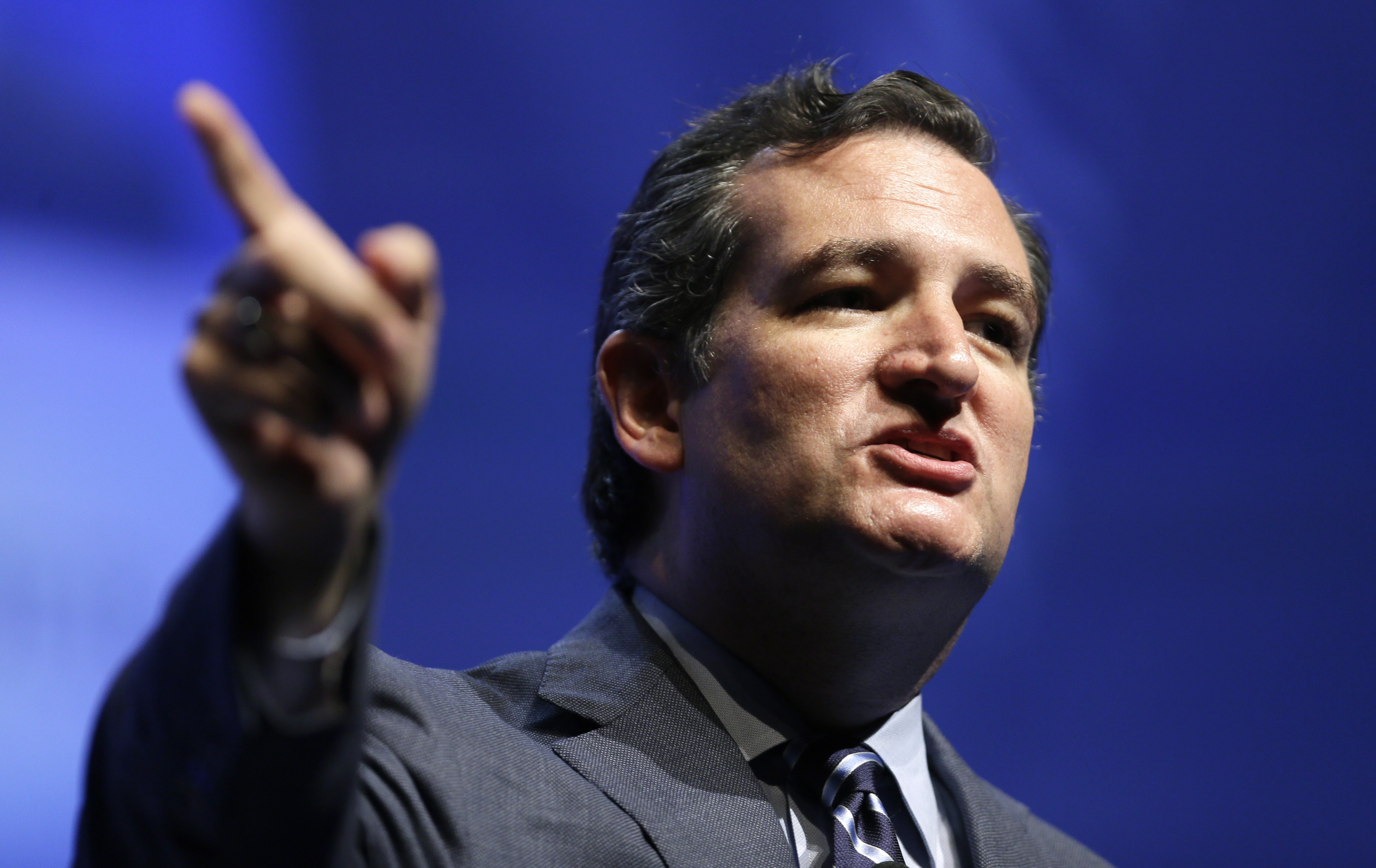 U.S. Sen. Ted Cruz, R-Texas, speaks during The Family Leadership Summit on August 9, 2014, in Ames, Iowa.