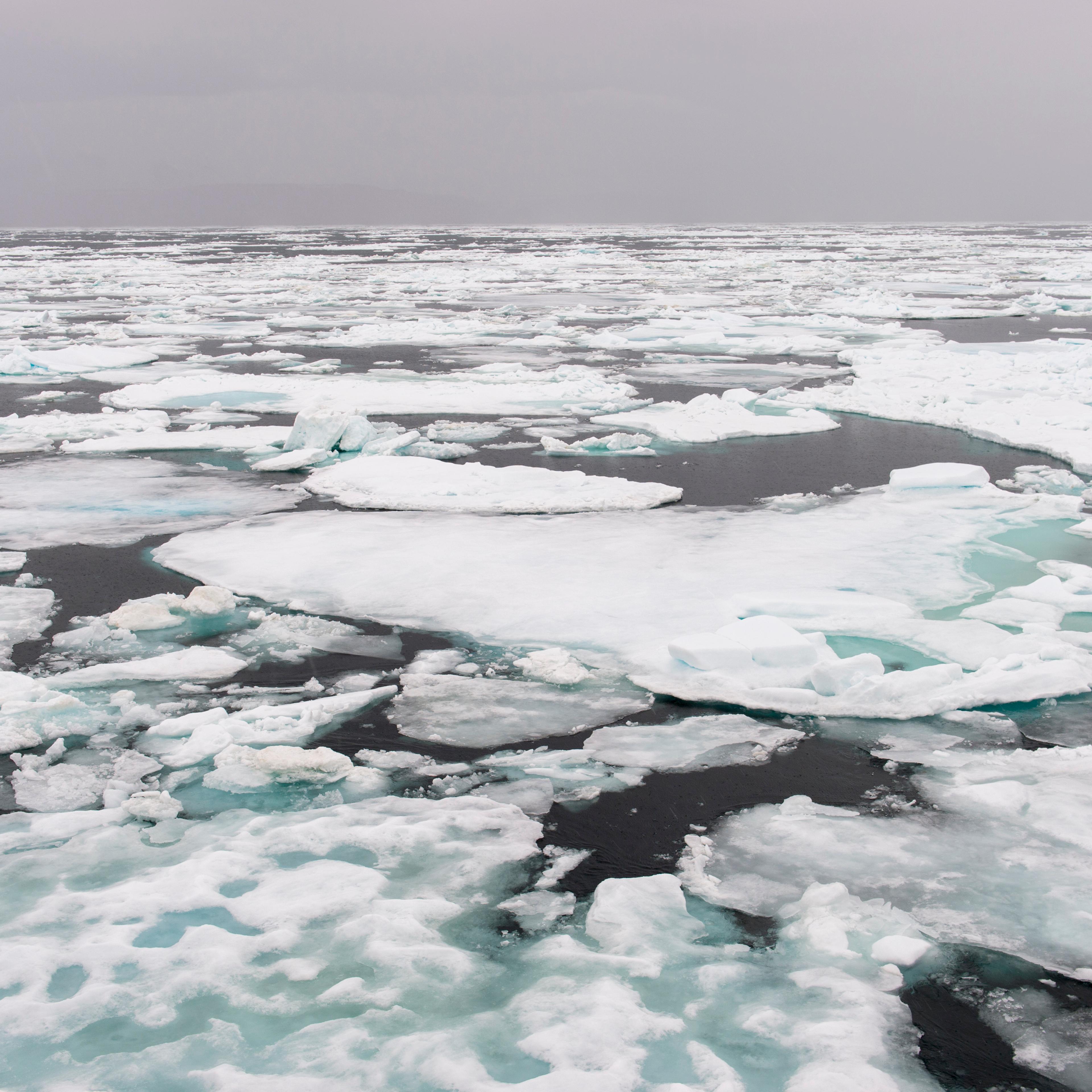 arctic sea ice winter