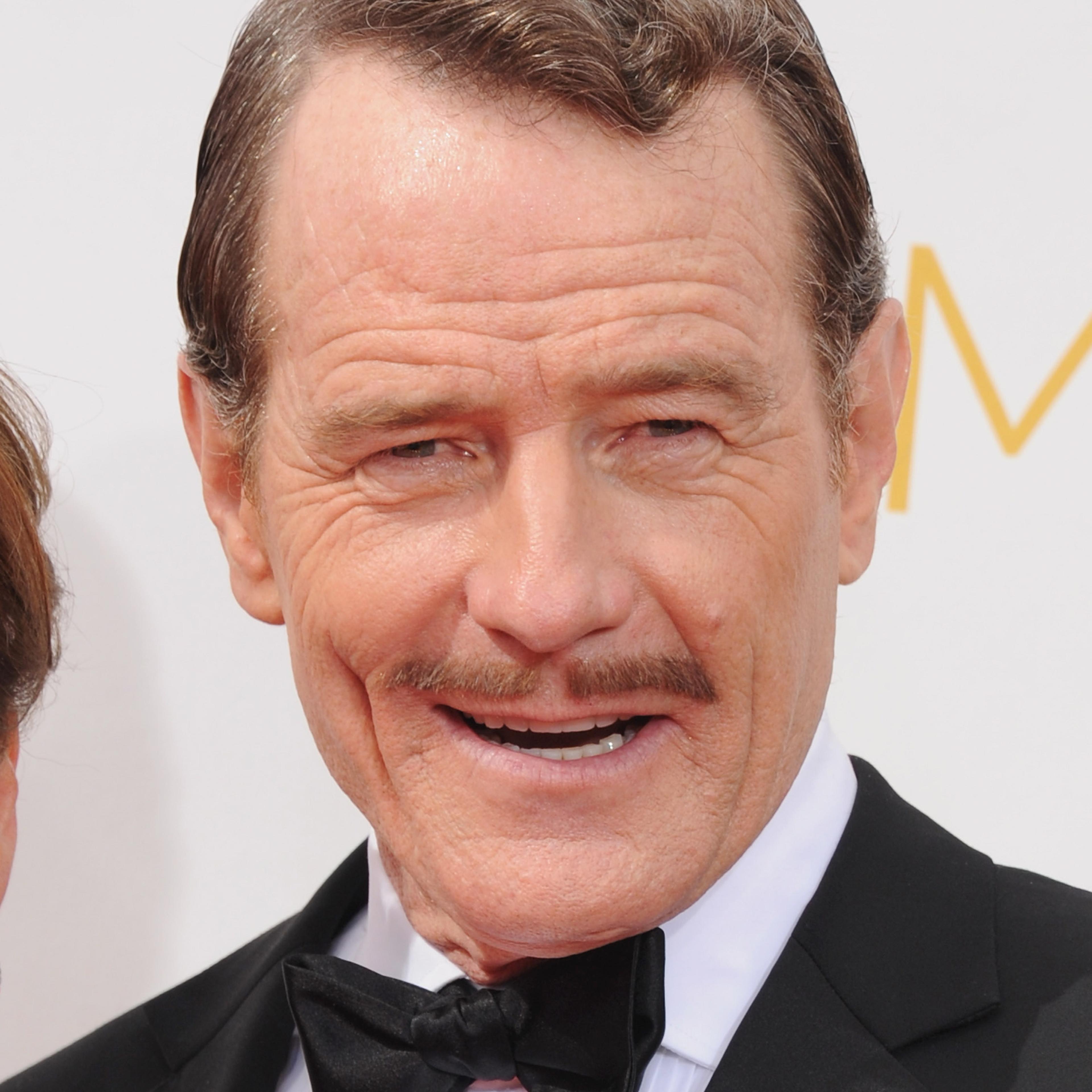 66th Annual Primetime Emmy Awards - Arrivals