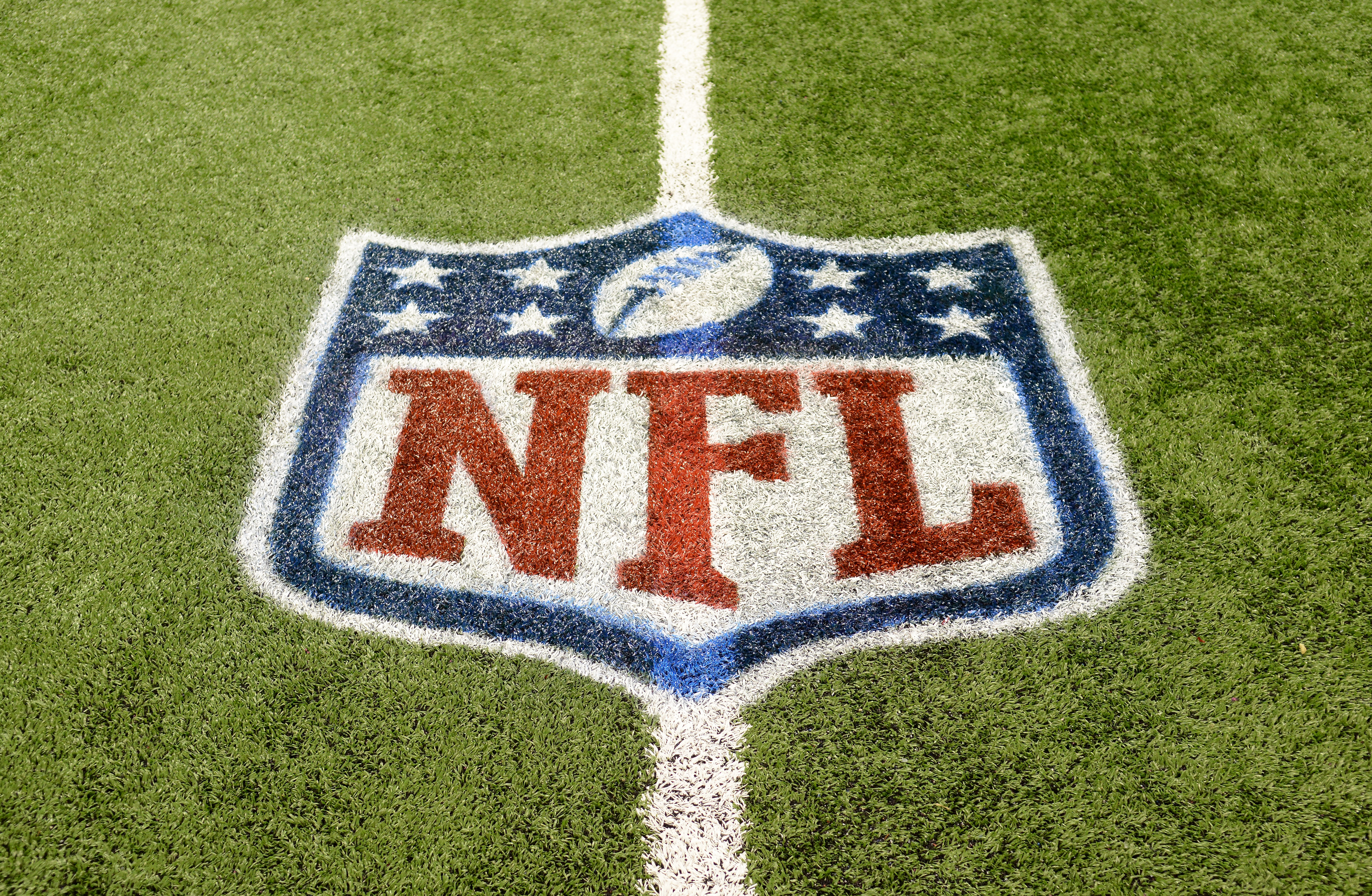 An NFL shield logo is painted on the field before the game between the Detroit Lions and the Tampa Bay Buccaneers in Detroit on Nov. 24, 2013.