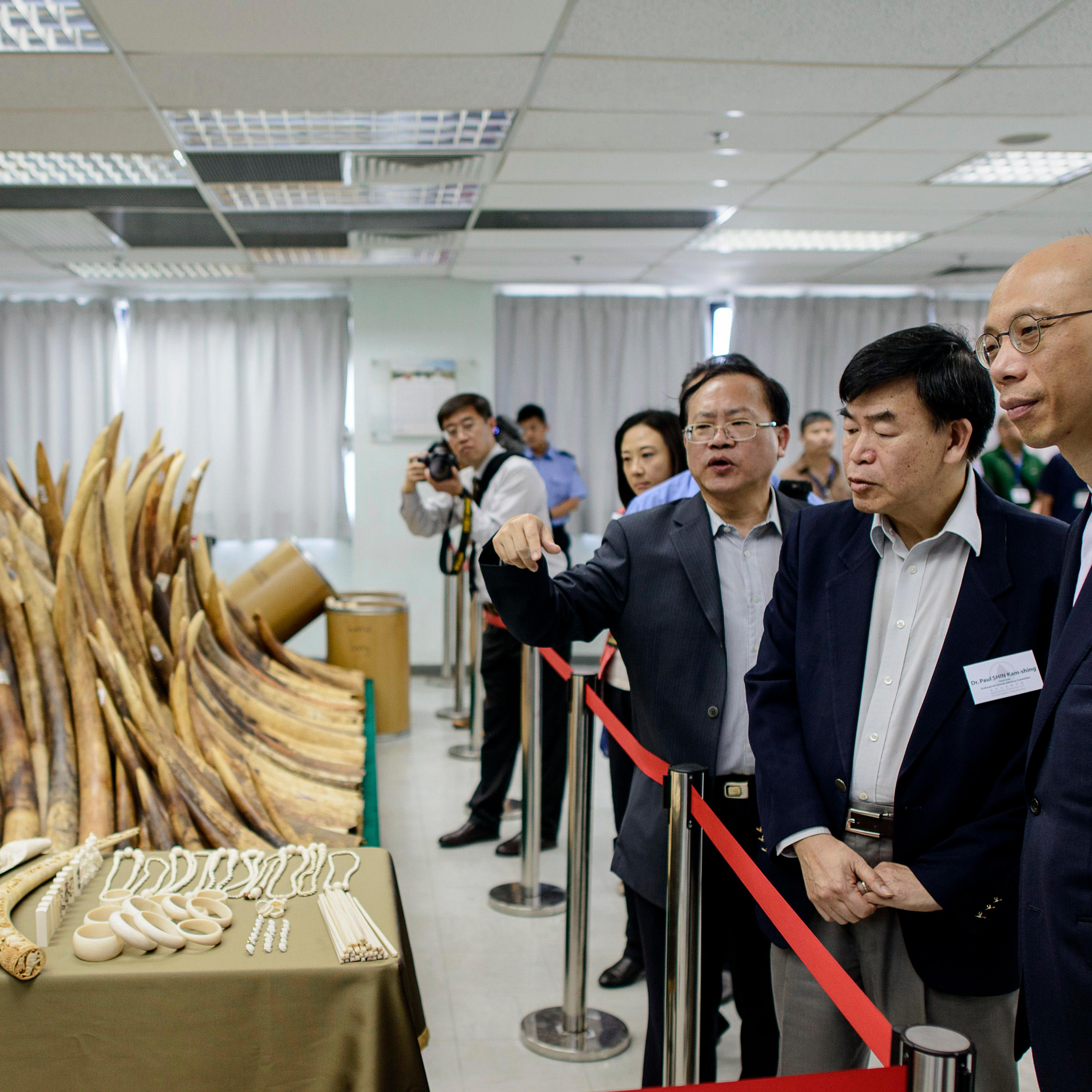 Officials and guests including Hong Kong's Secretary for the Environment Wong Kam-sing are shown seized ivory displayed in Hong Kong