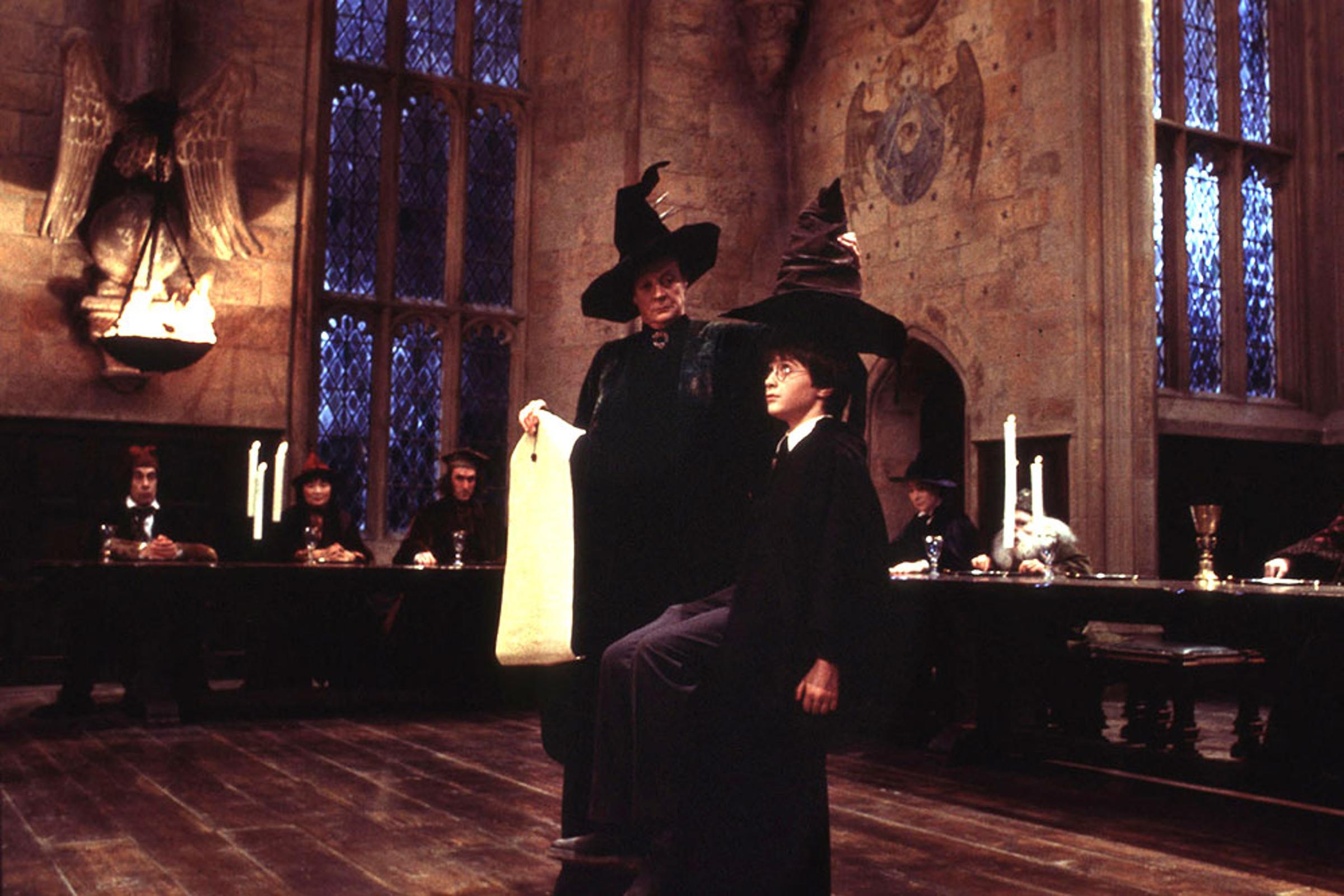 Harry Potter Sorting Hat
