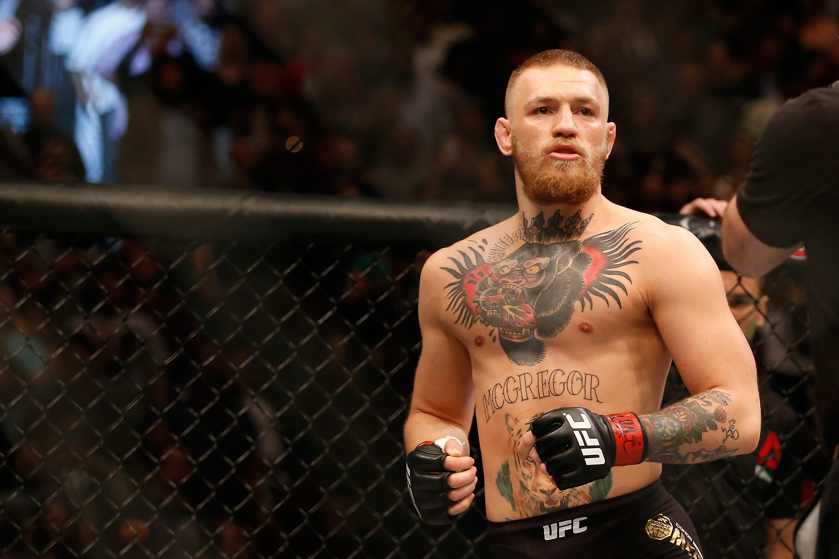 UFC 196: McGregor v Diaz