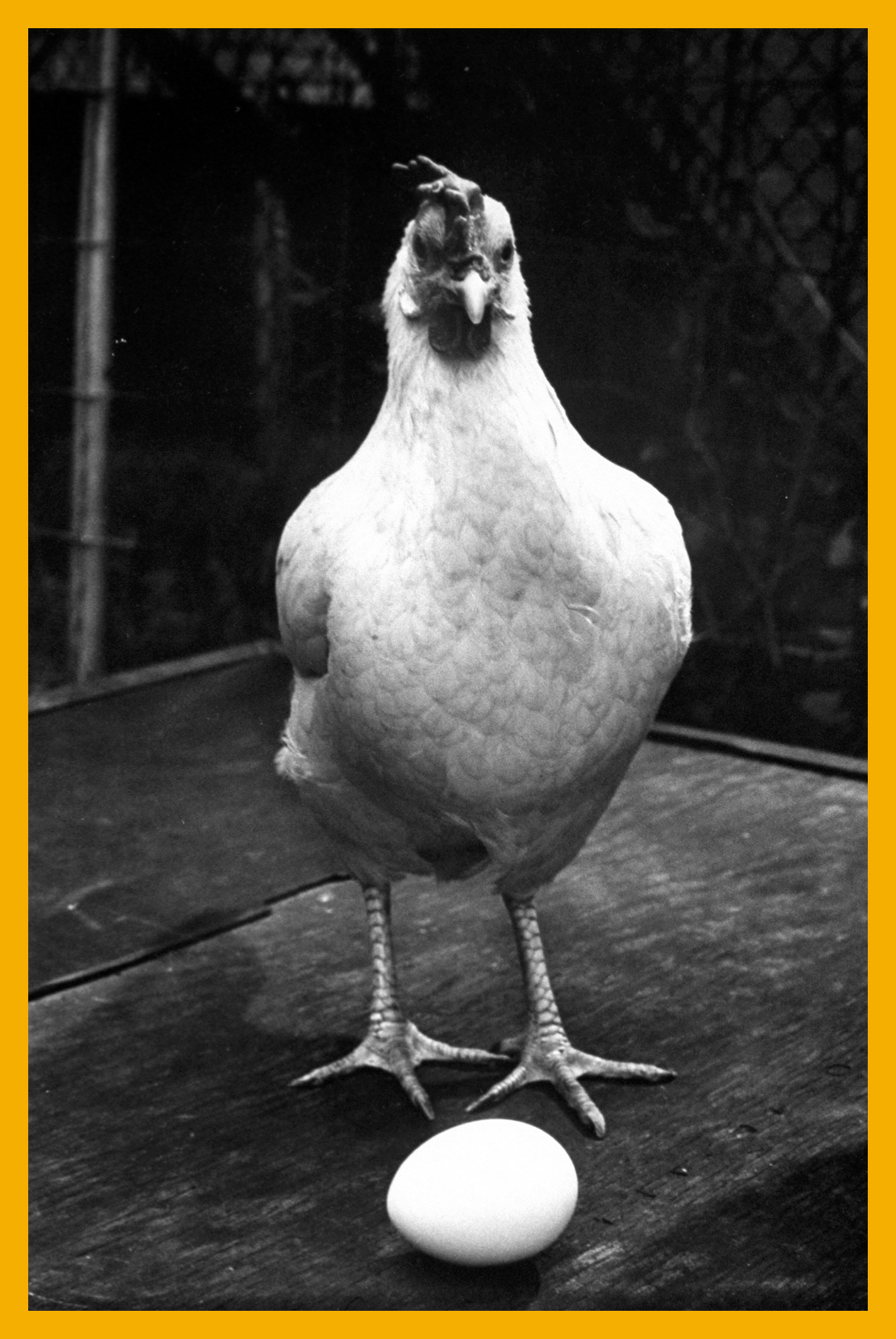 Chicken and egg.