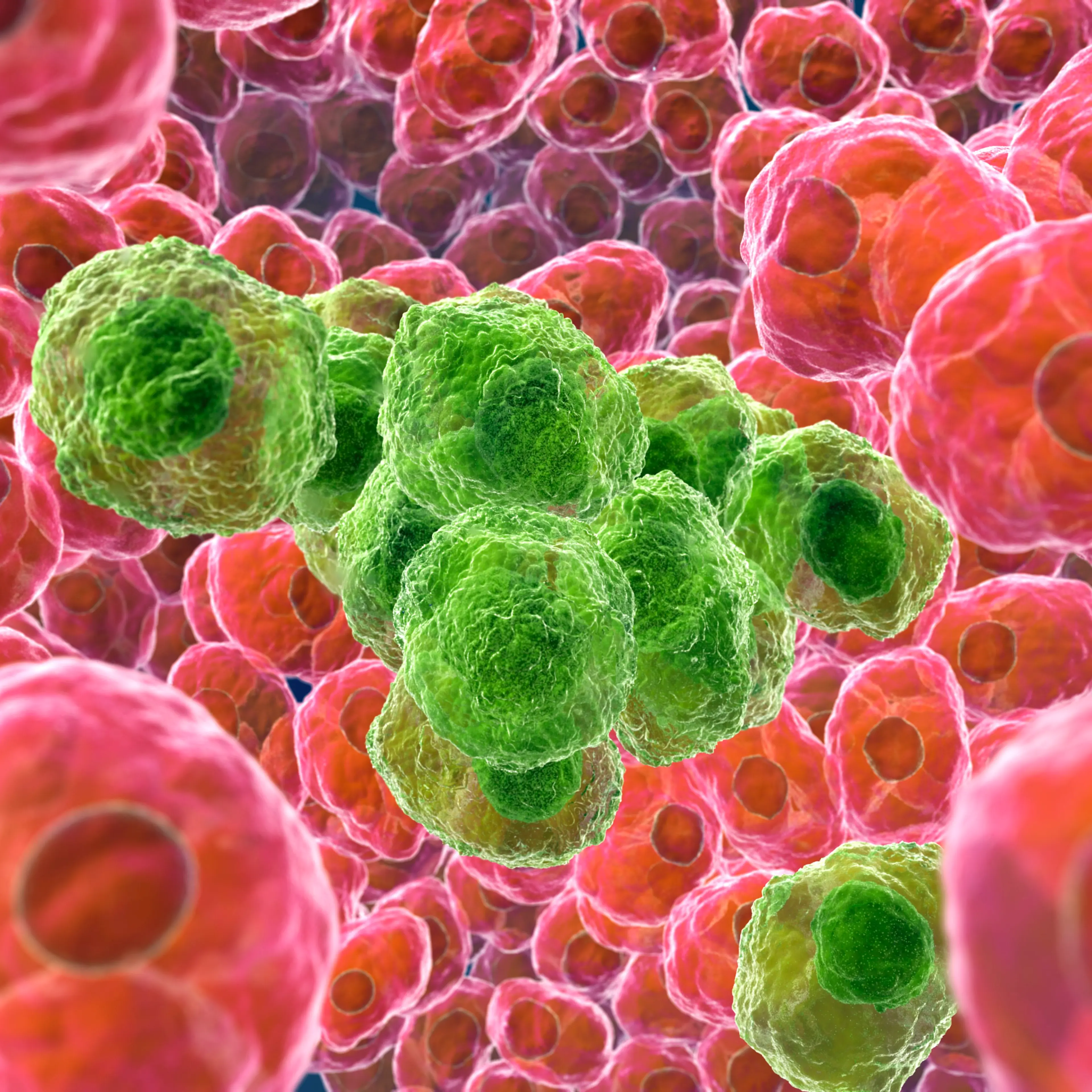 Cancer cells, artwork