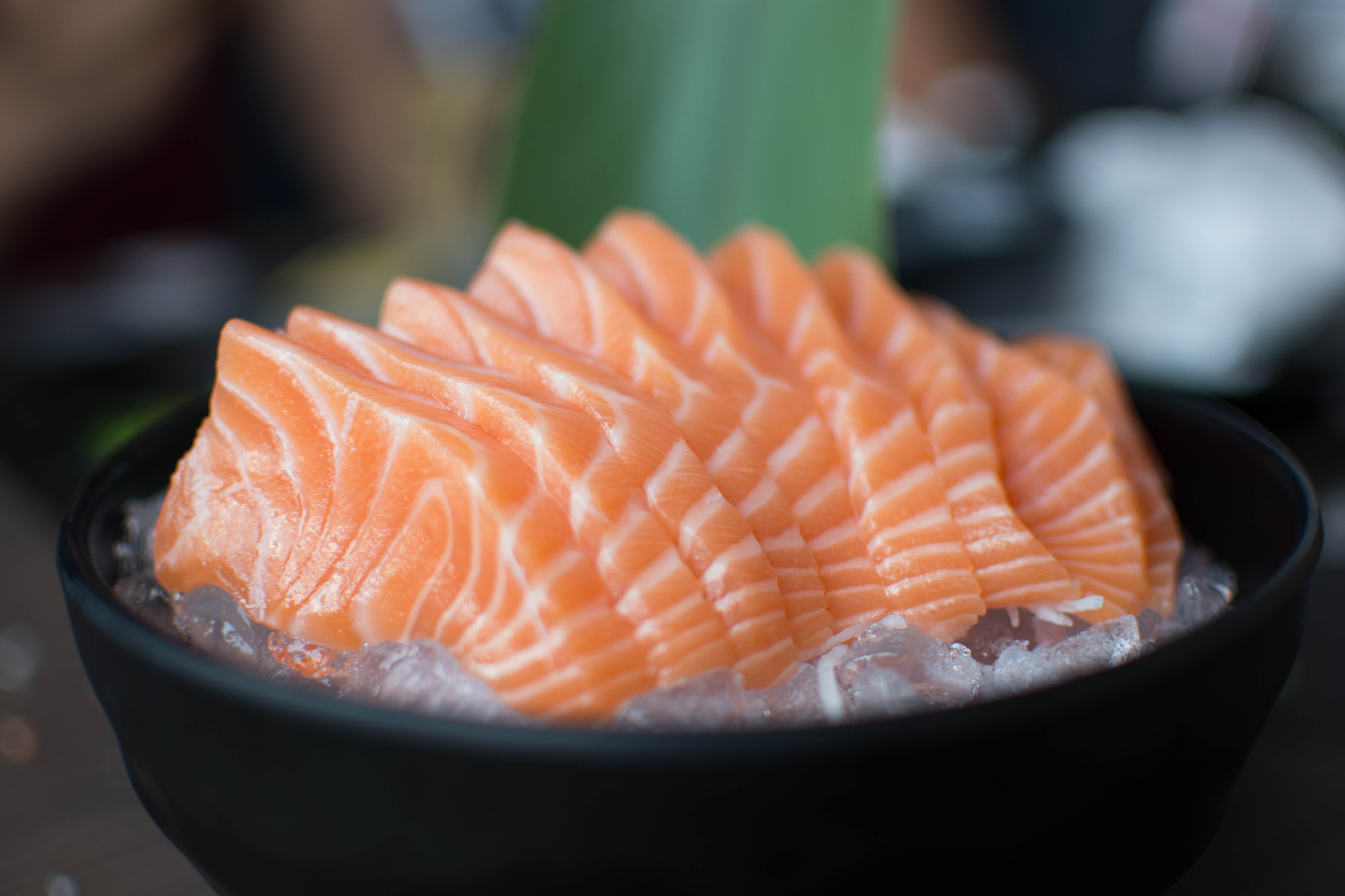 Salmon sashimi - Japanese food