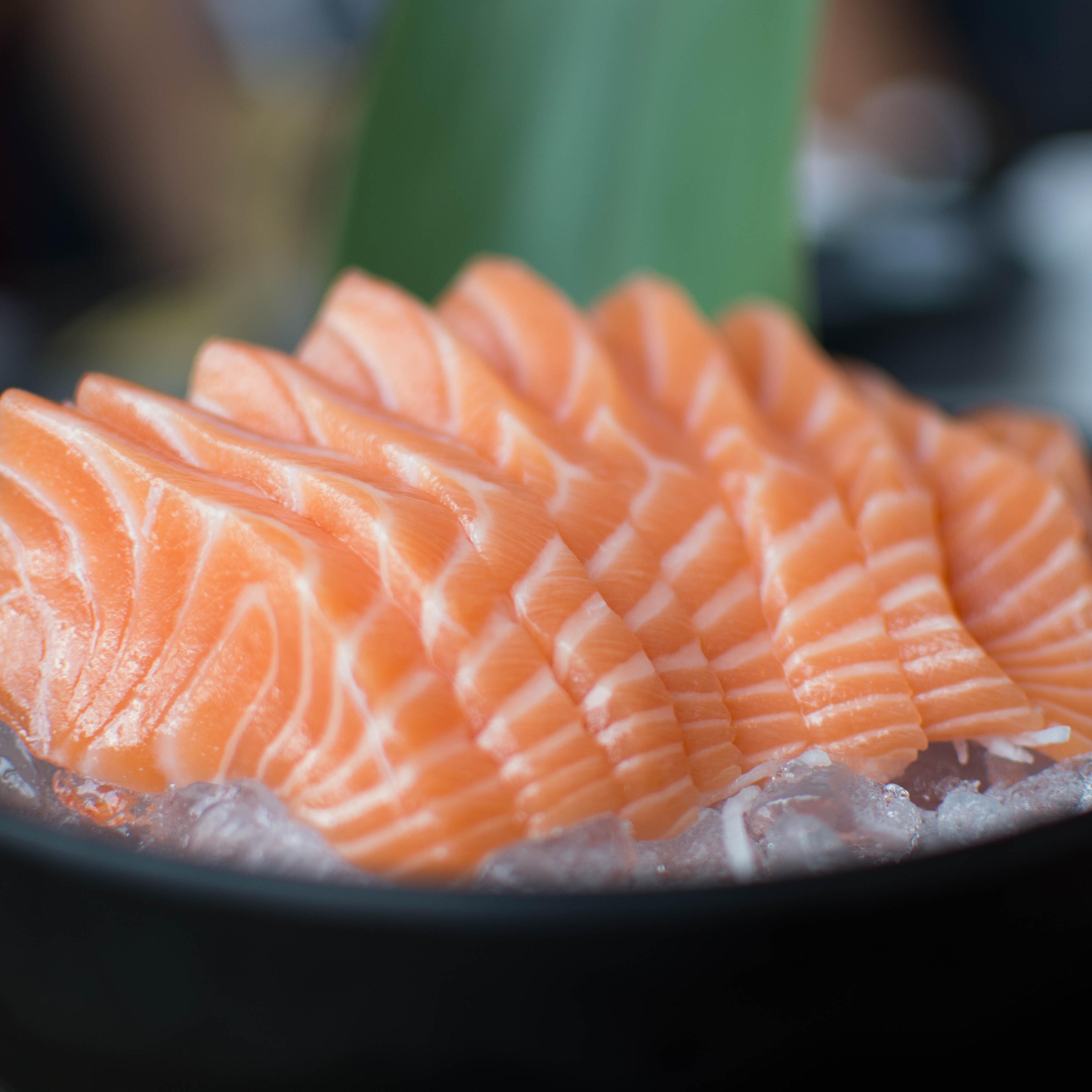 Salmon sashimi - Japanese food