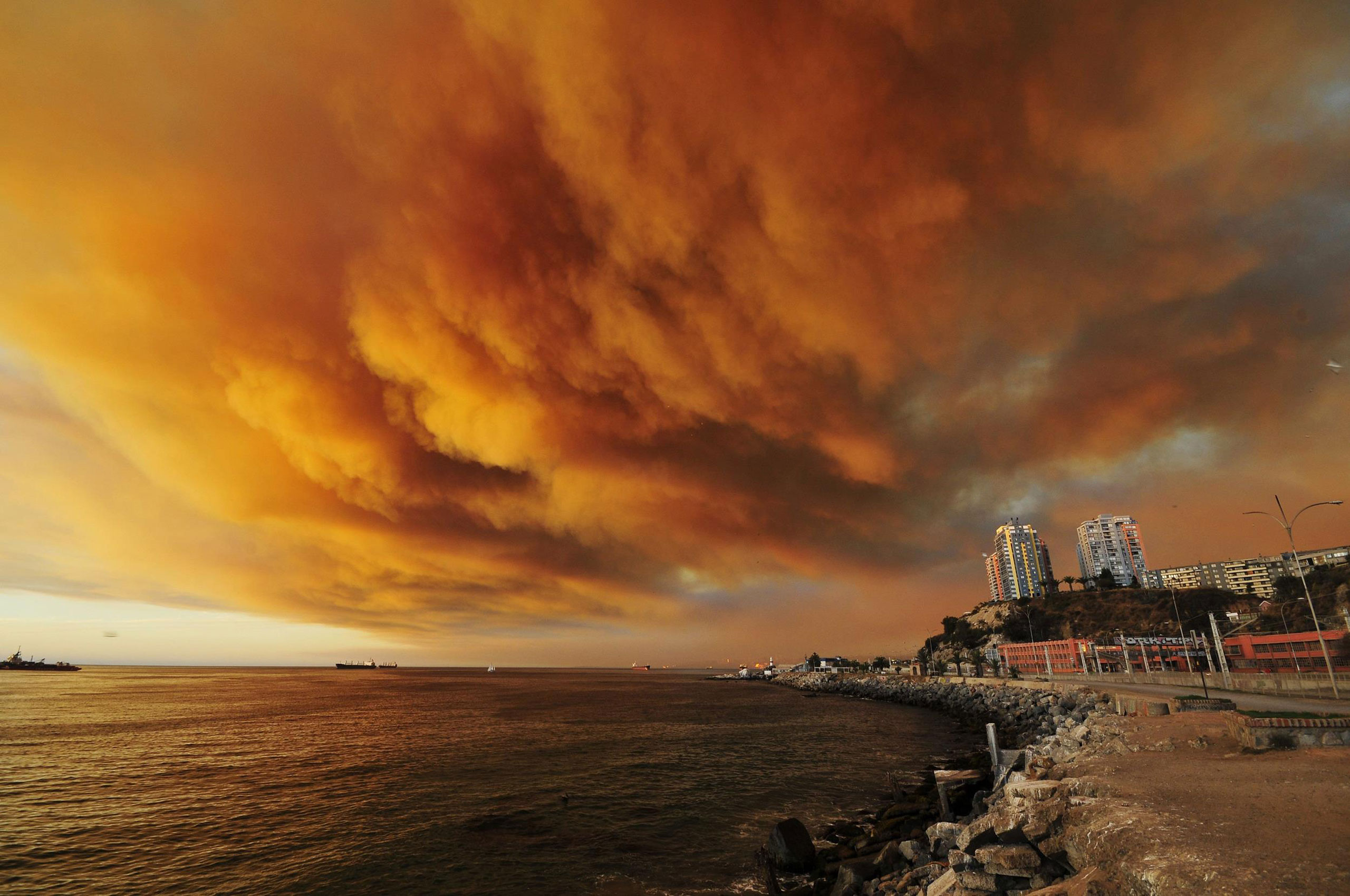 Smoke billows from the forest around Valparaiso in Chile, March 13, 2015. 
