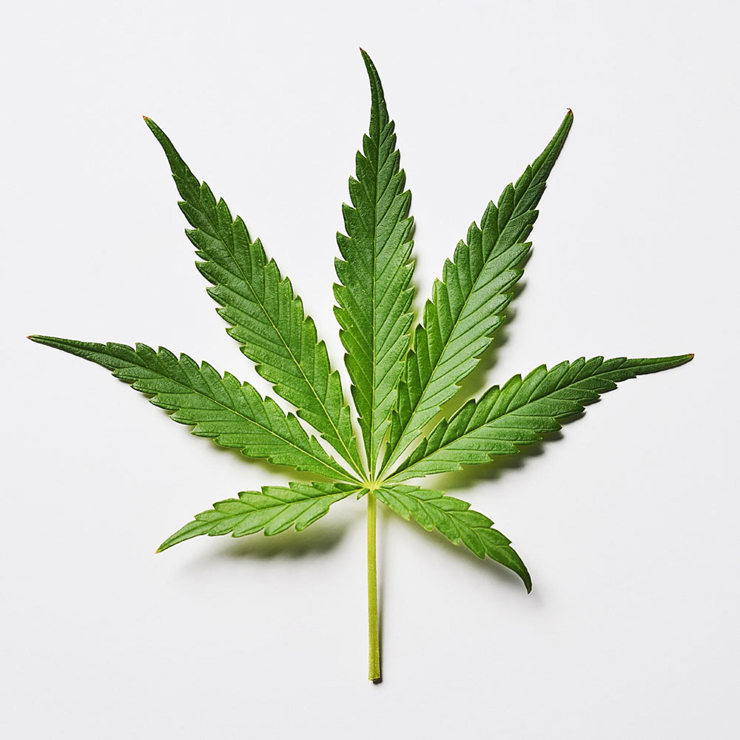 Marijuana
