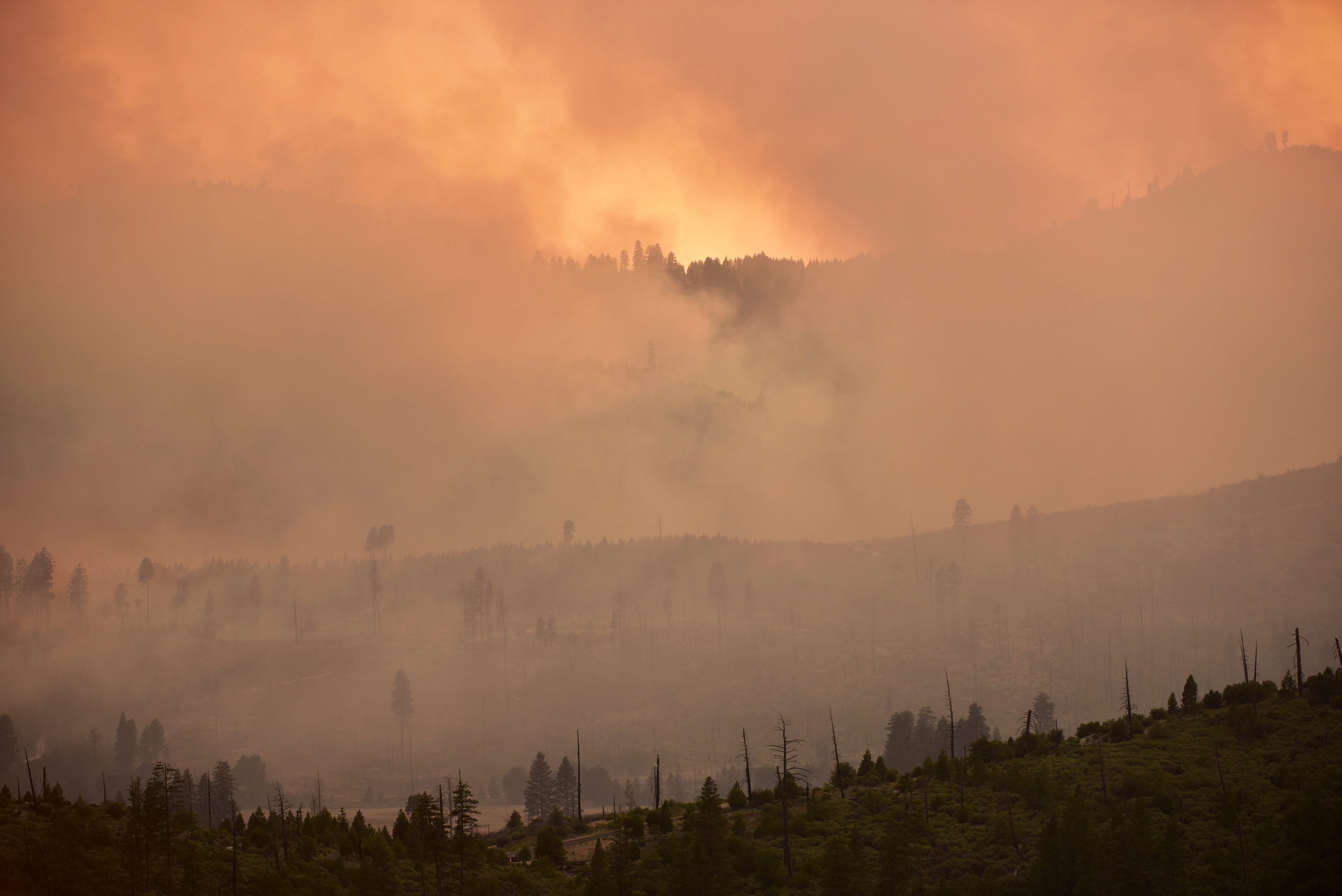 Just another day: A wildfire in the Stanislaus National Forest and Yosemite National Park, Calif. on July 27, 2014.