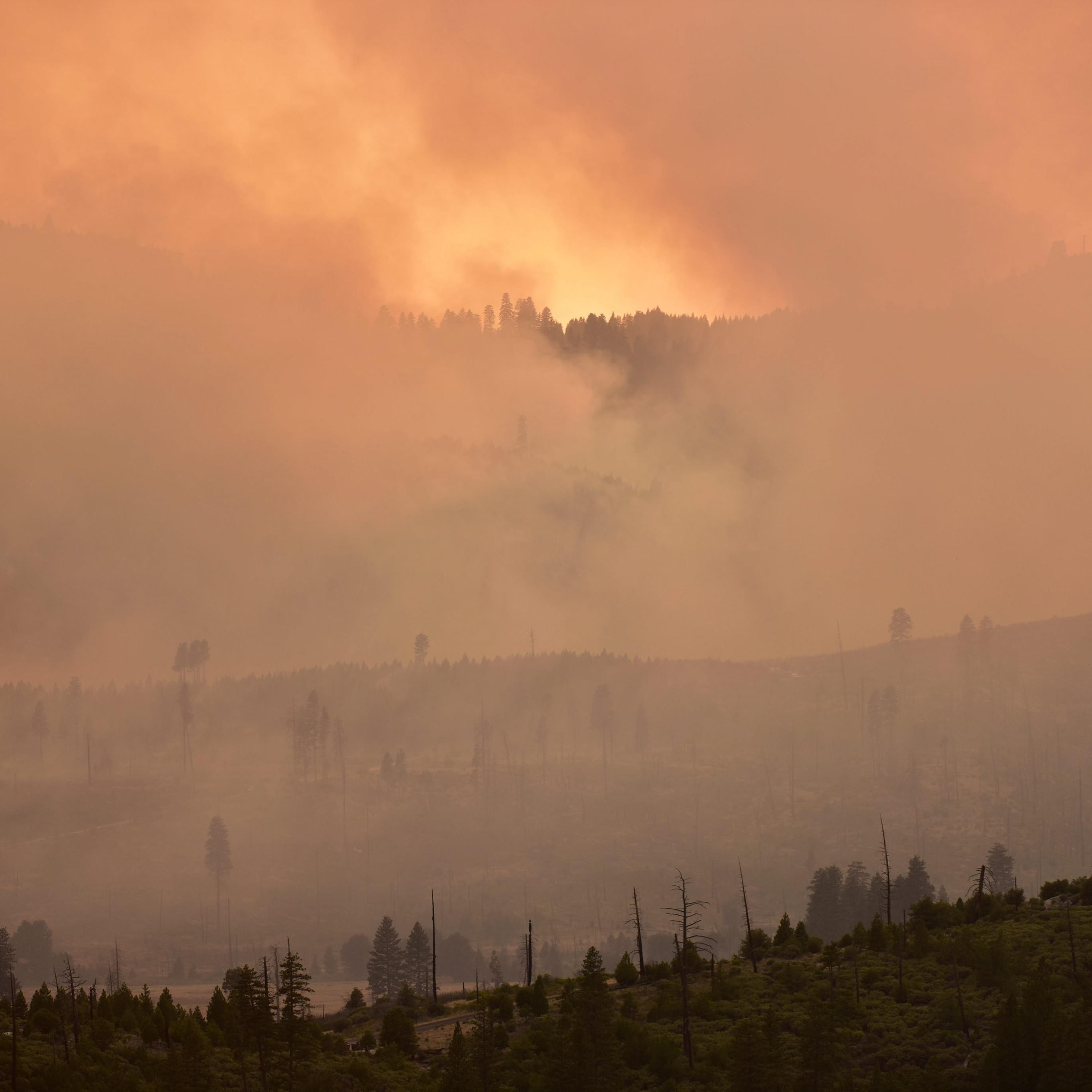 Just another day: A wildfire in the Stanislaus National Forest and Yosemite National Park, Calif. on July 27, 2014.