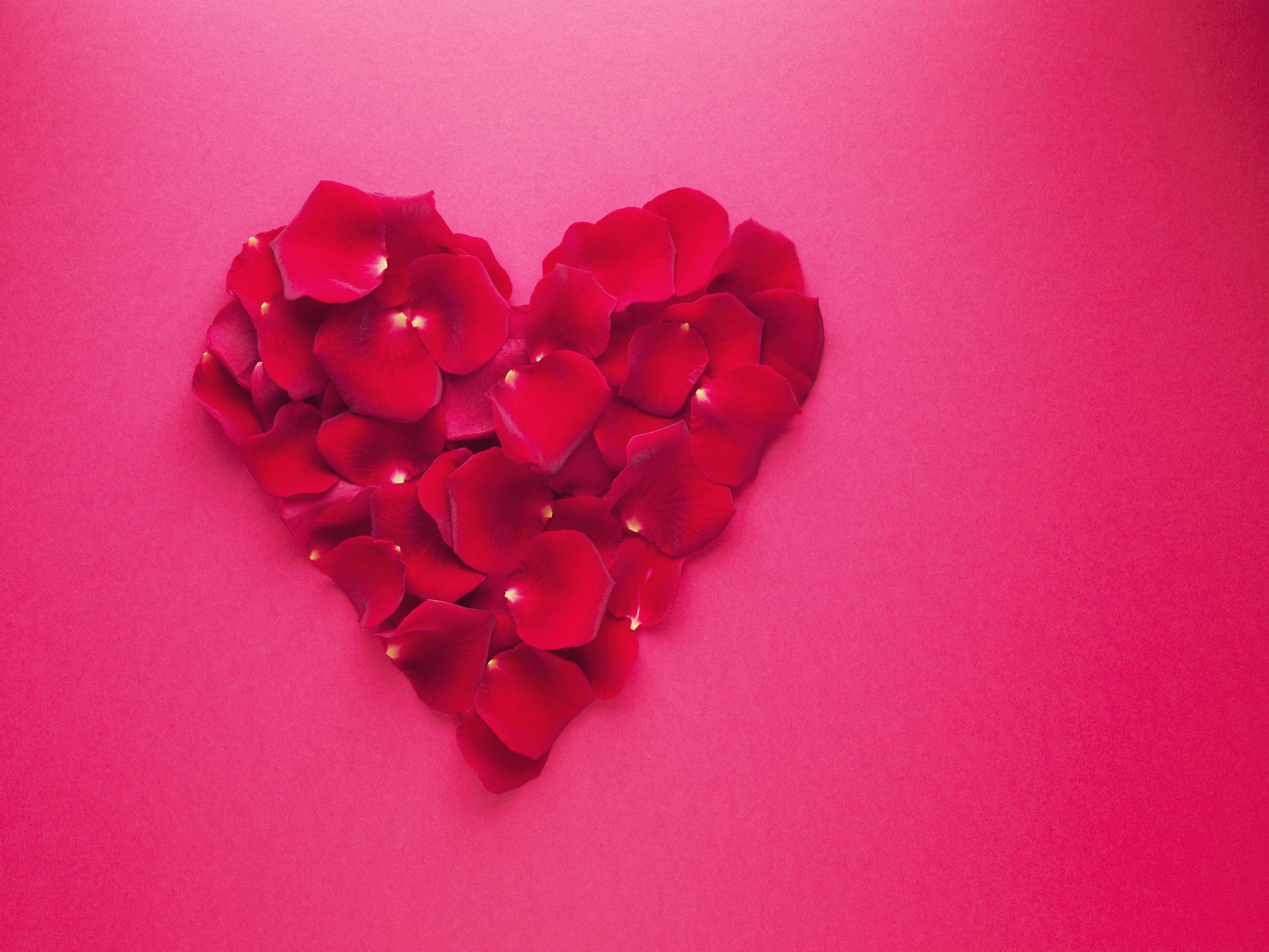 rose-petals-heart