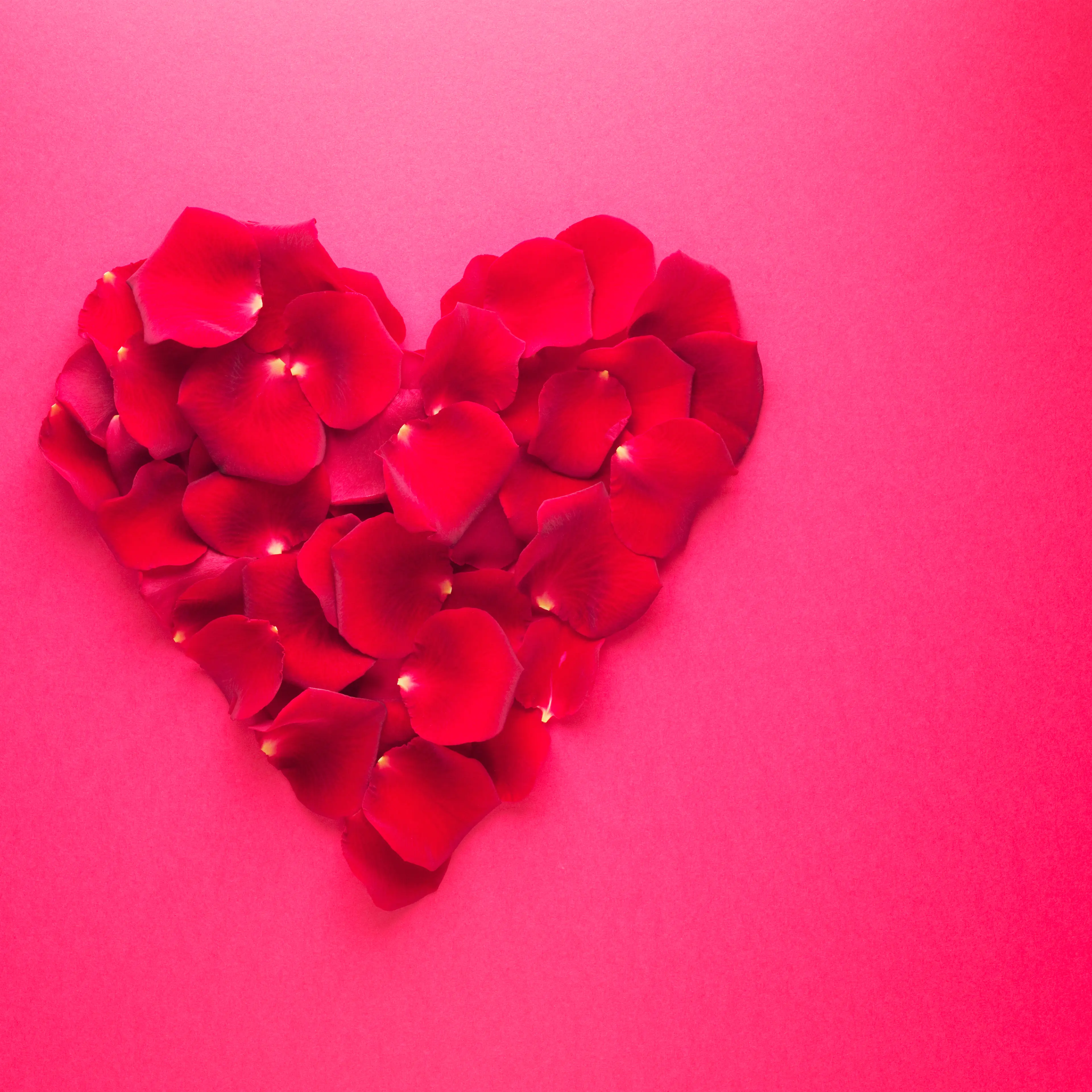 rose-petals-heart