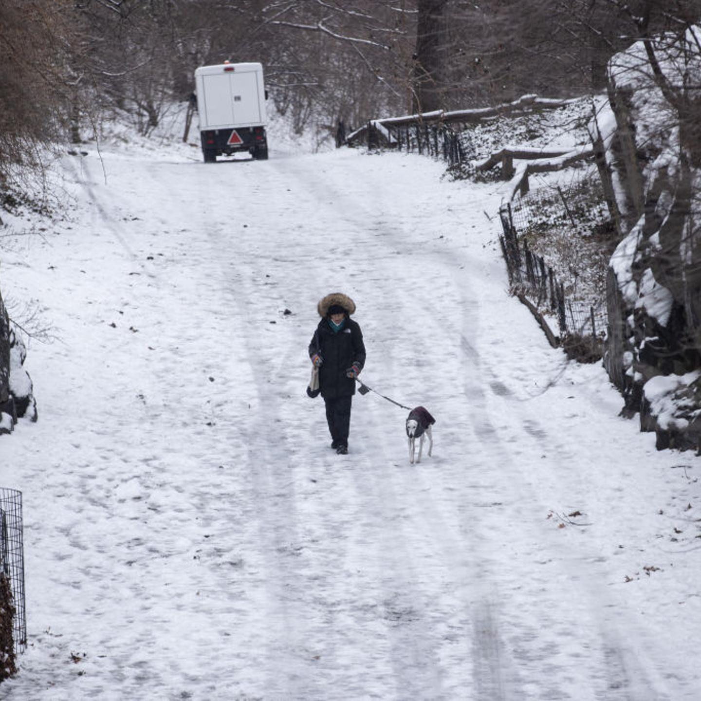 New York City receives heaviest snowfall in two years