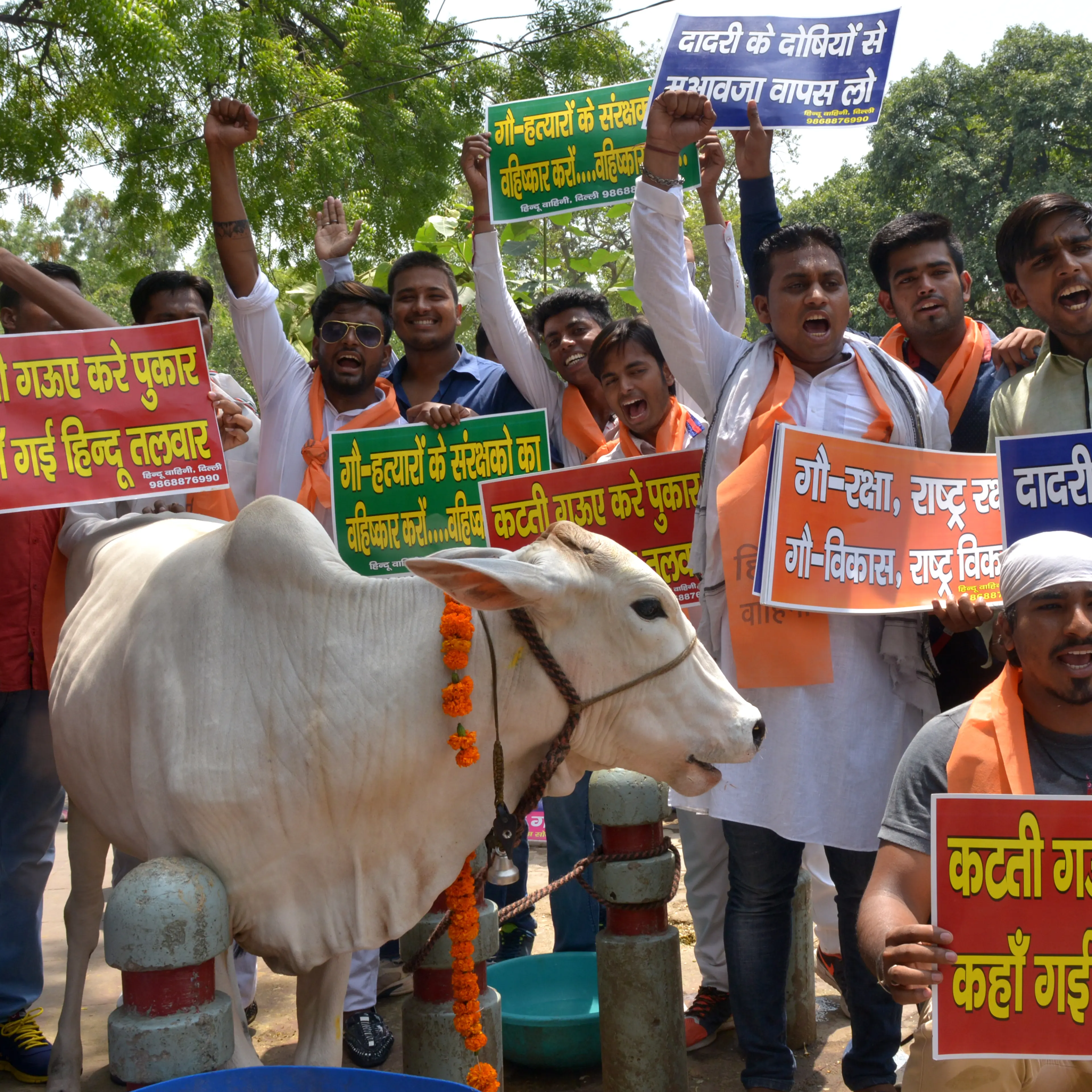 Protest march over cow protection