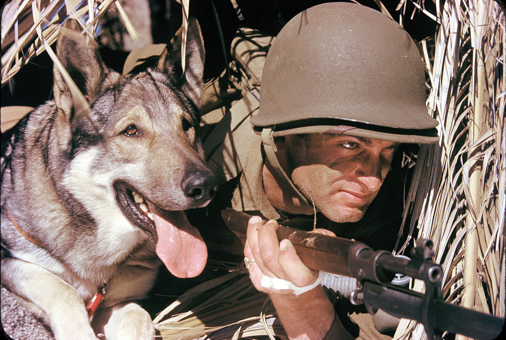 Rin Tin Tin &amp; Soldier