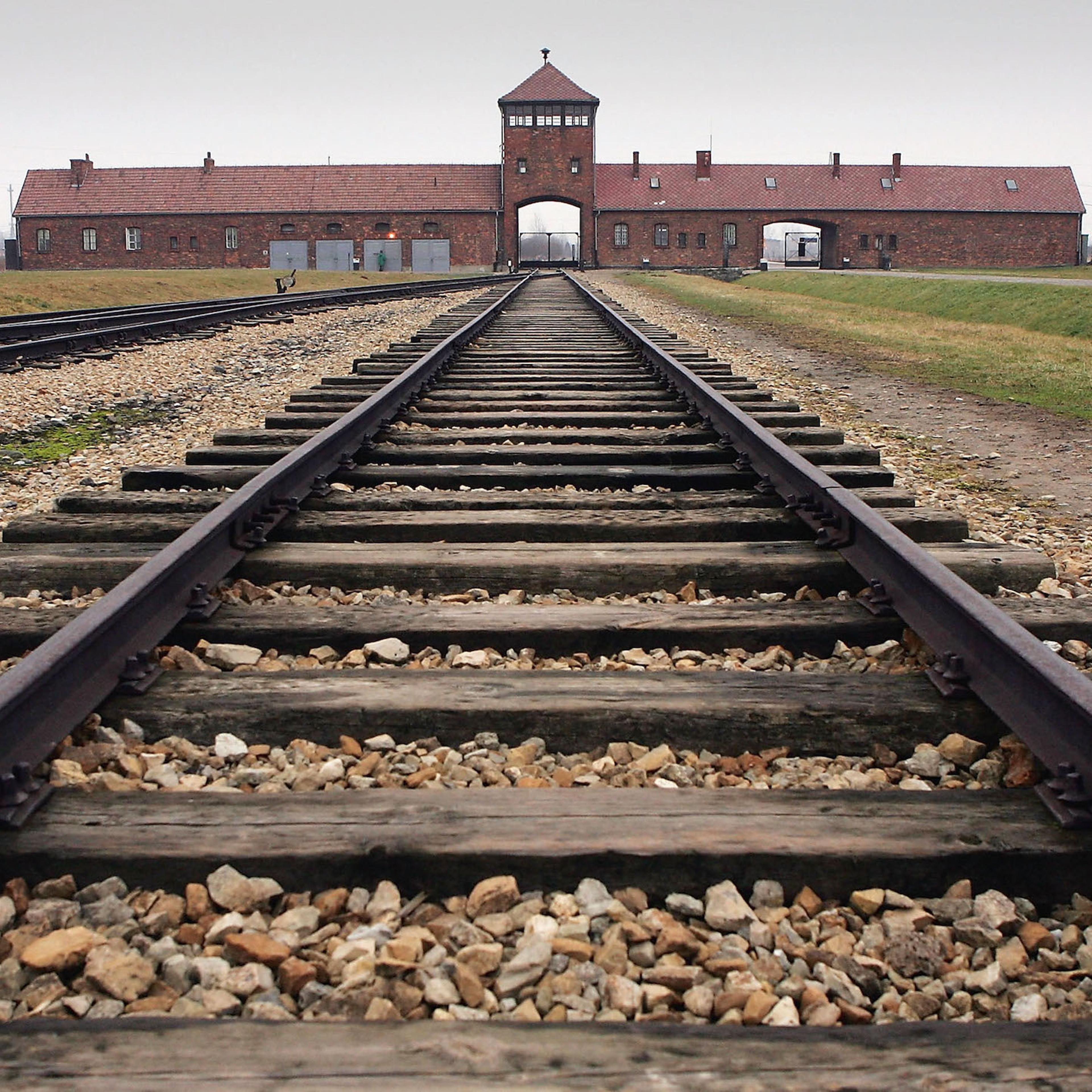 Preview For Sixtieth Anniversary Of The Liberation Of Auschwitz