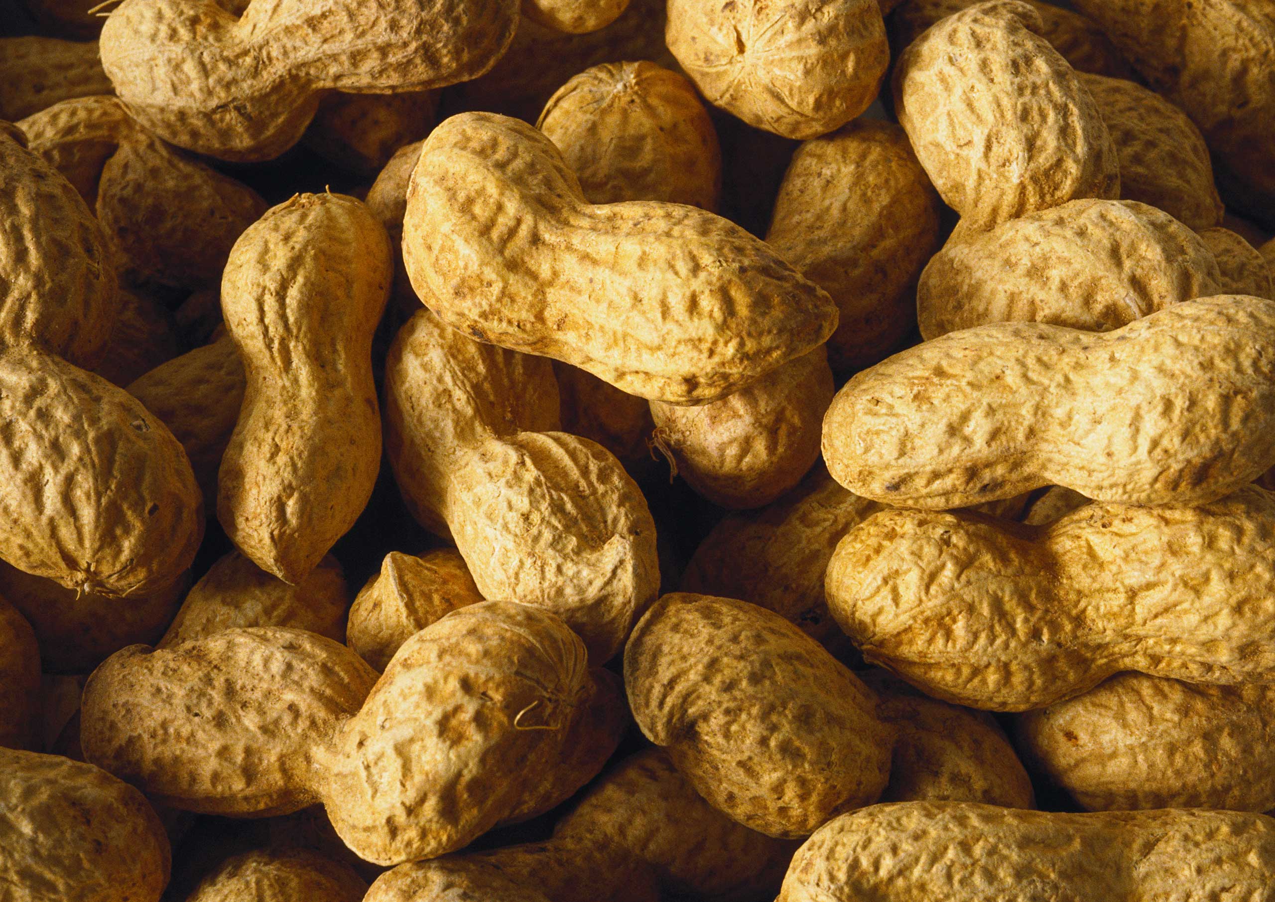 peanuts
