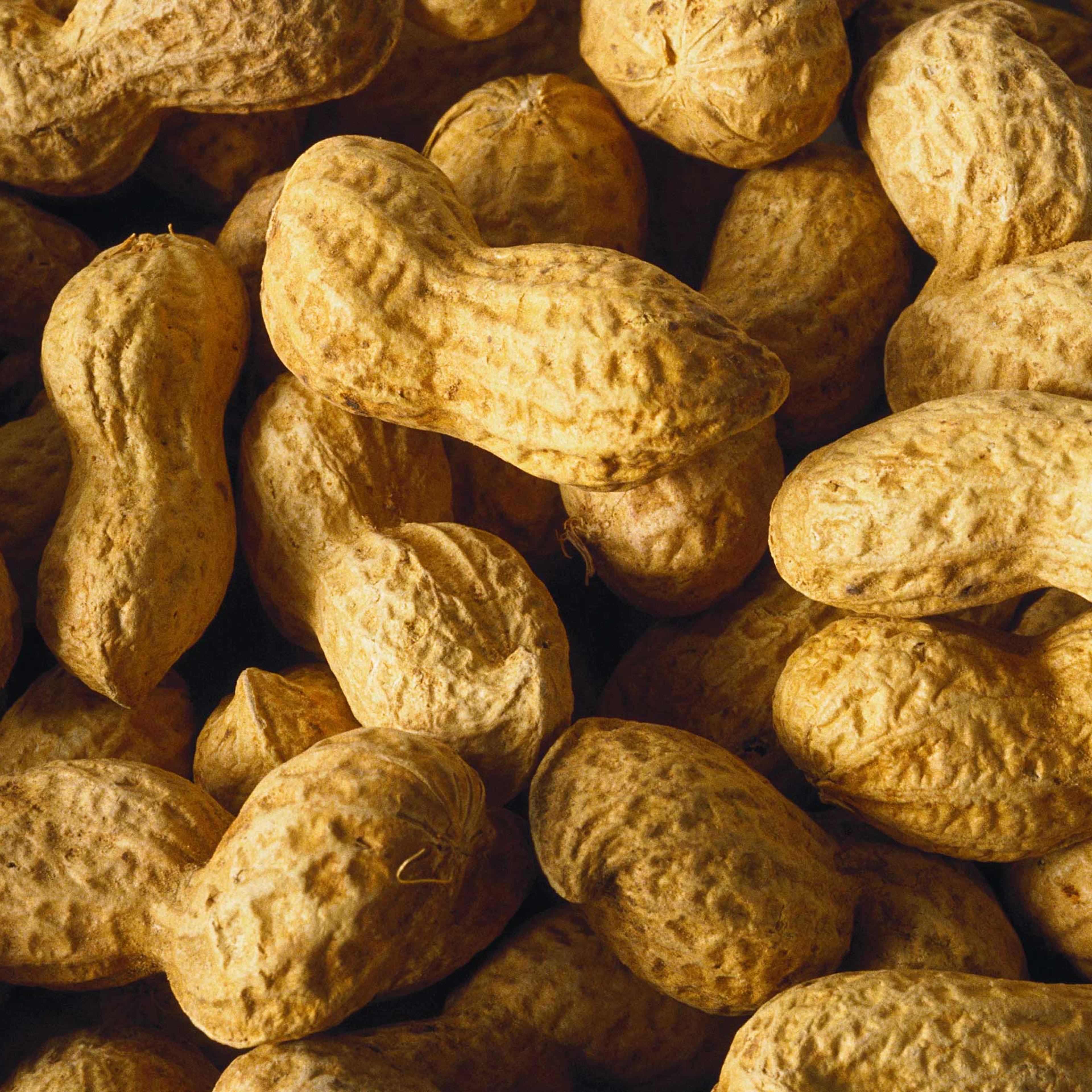 peanuts