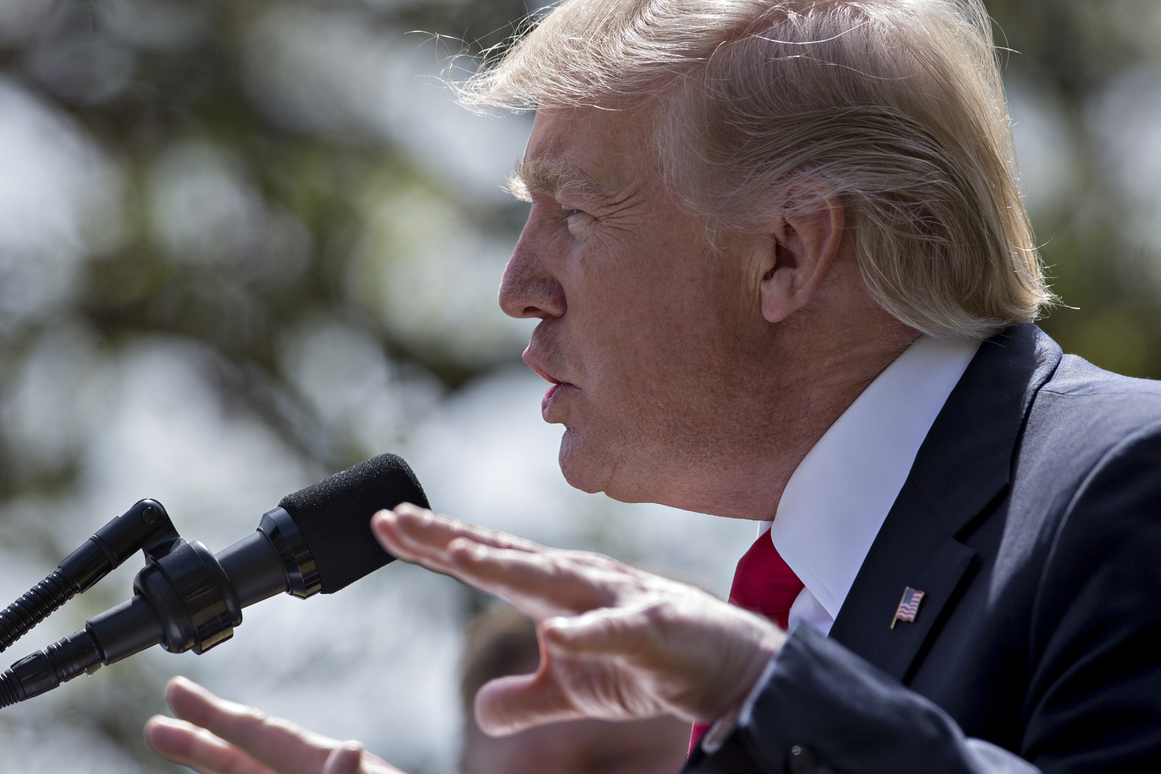 President Trump Meets With Jordan's King Abdullah II At The White House
