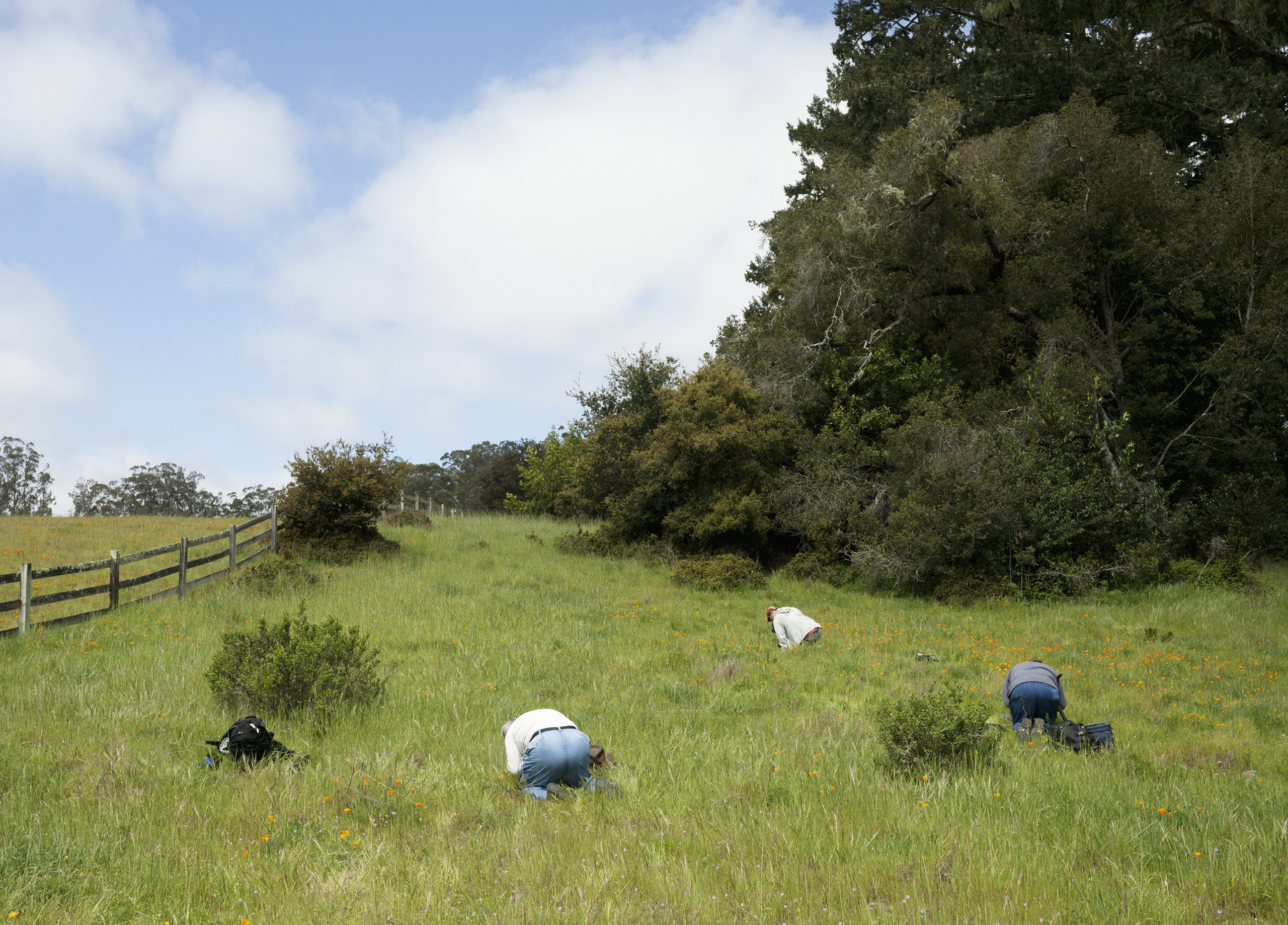 San Andreas Fault, California: Macro photography workshop at Bear Valley Visitor Center, Olema, Point Reyes.Photo: Knut Egil Wang/Moment/Institute